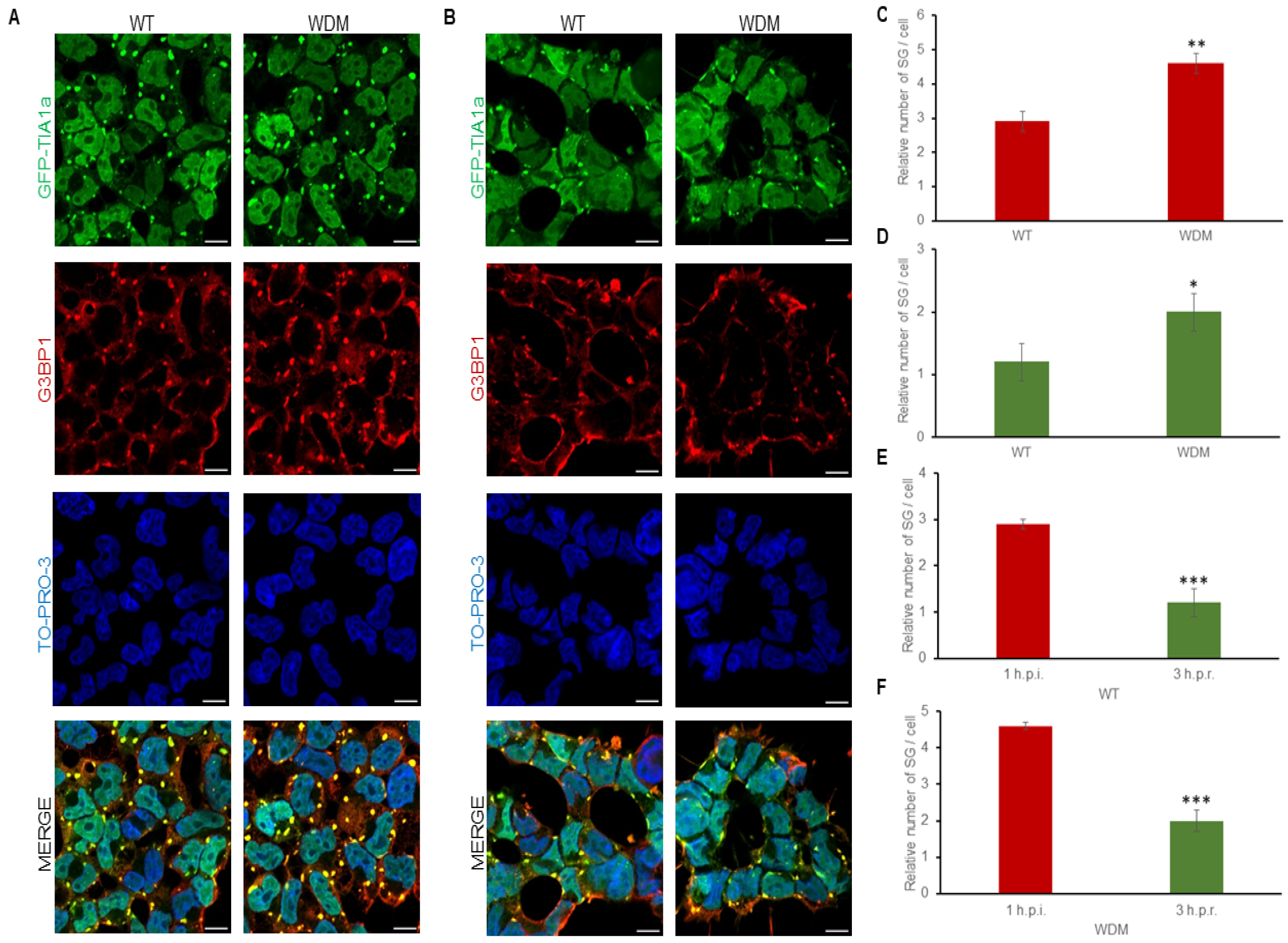 Biology 14 01288 g005 Biology 14 01288 g005