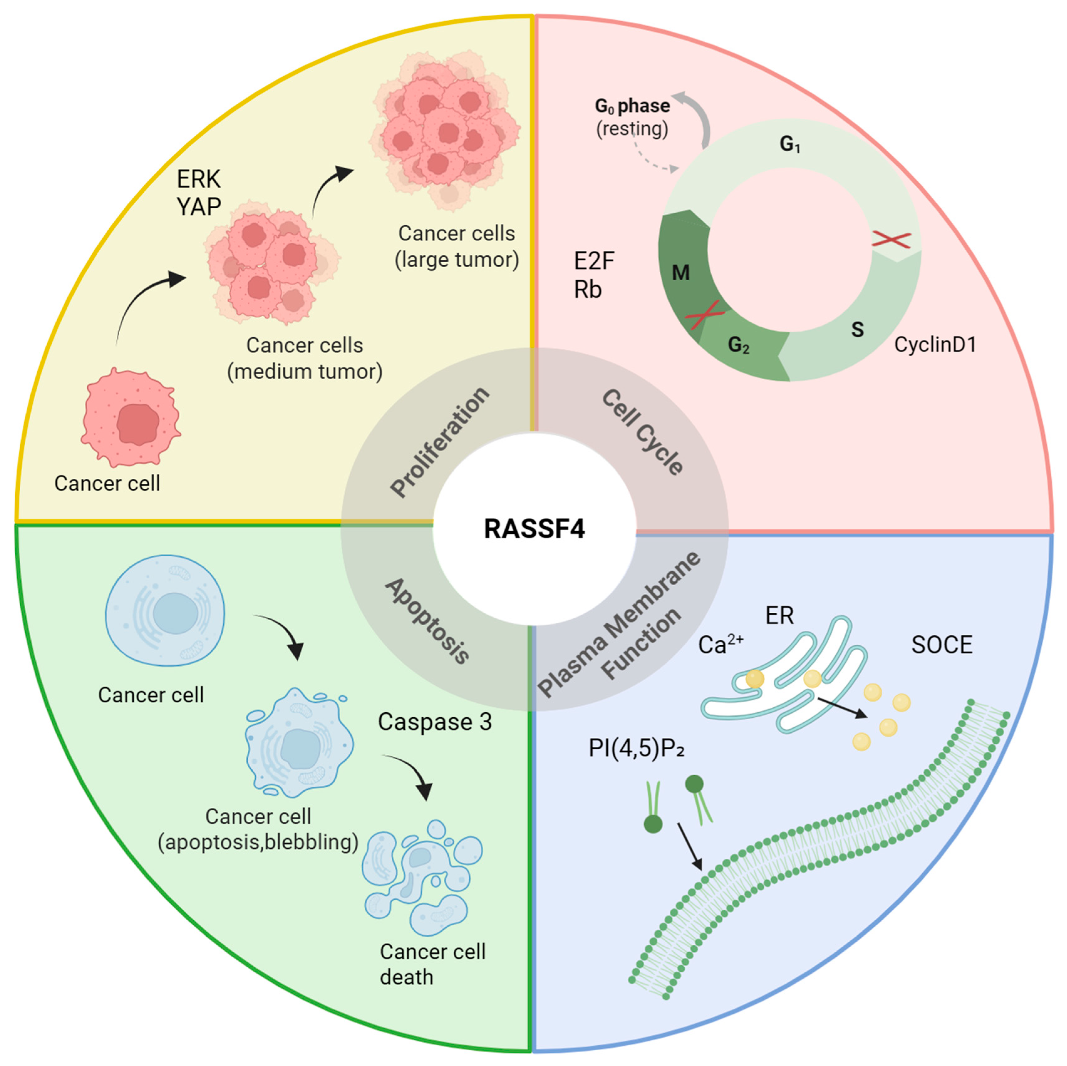 Biology 14 01289 g002 Biology 14 01289 g002