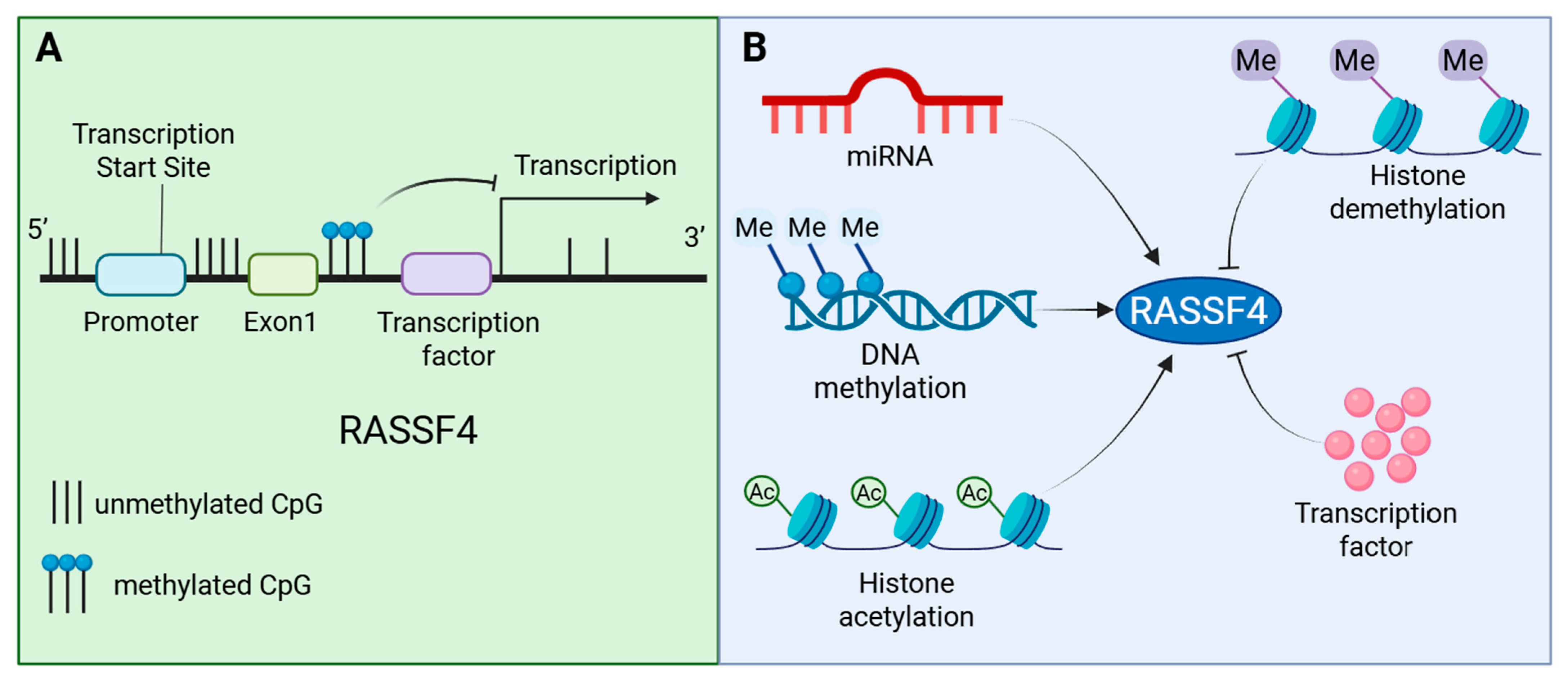 Biology 14 01289 g005 Biology 14 01289 g005
