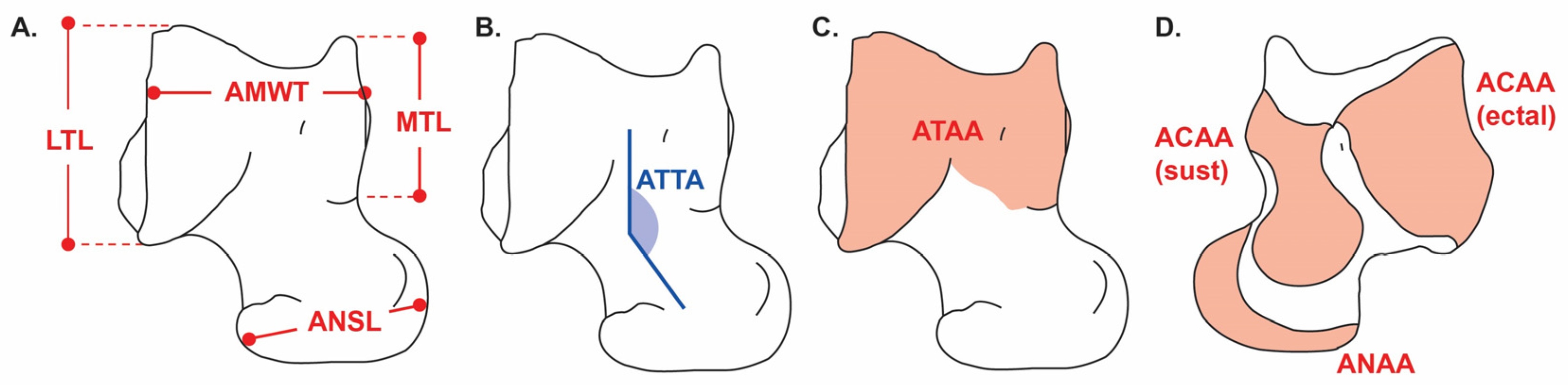 Biology 14 01290 g002