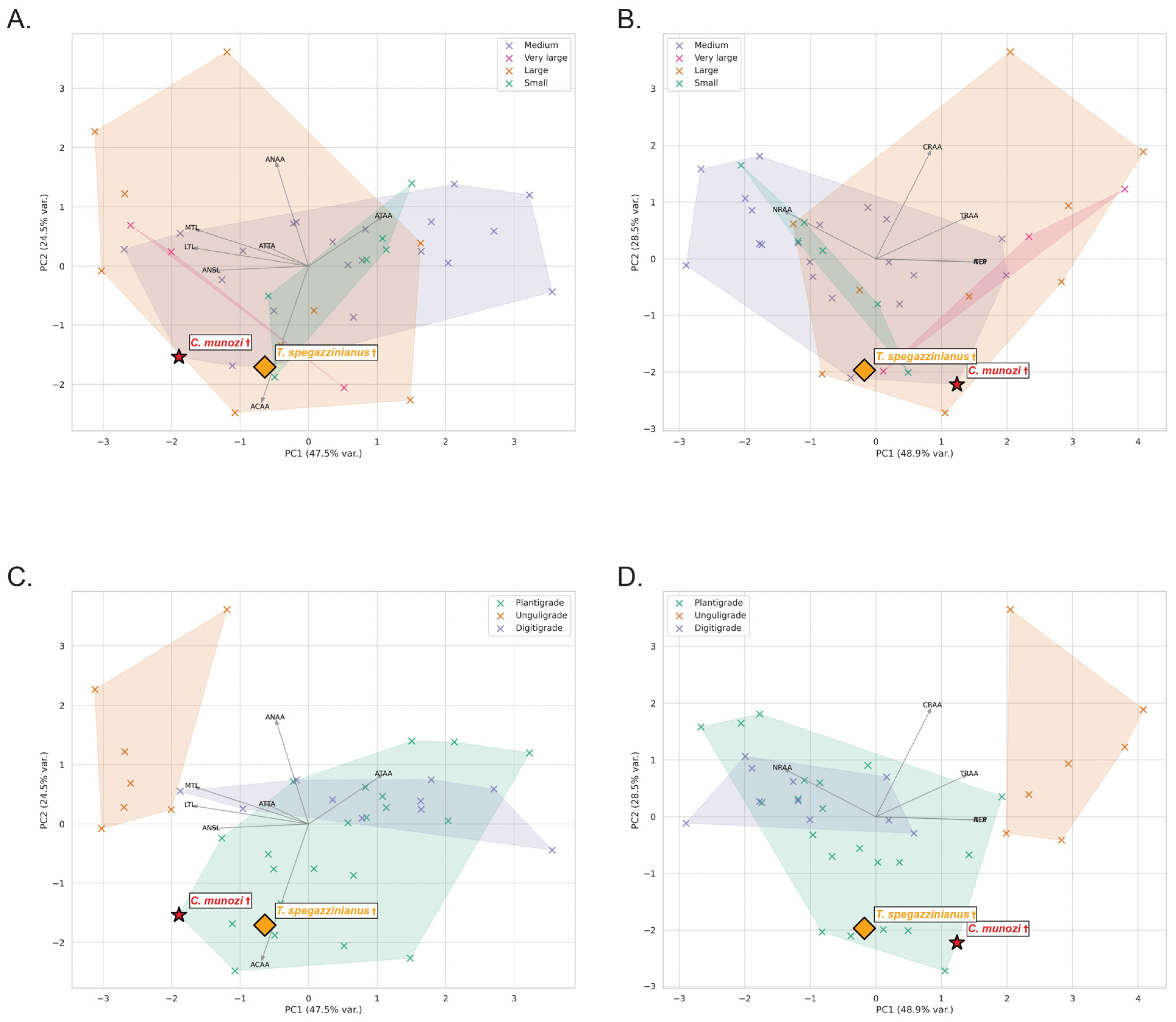 Biology 14 01290 g003