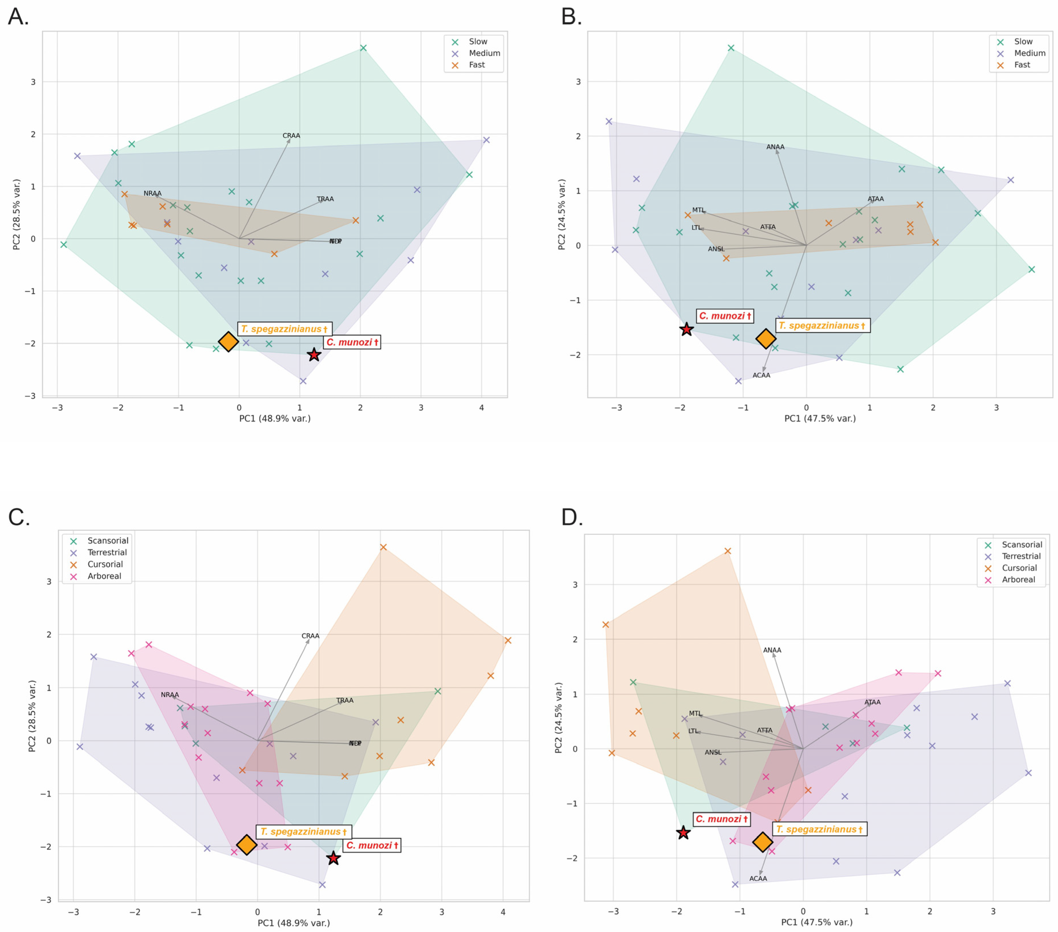 Biology 14 01290 g004