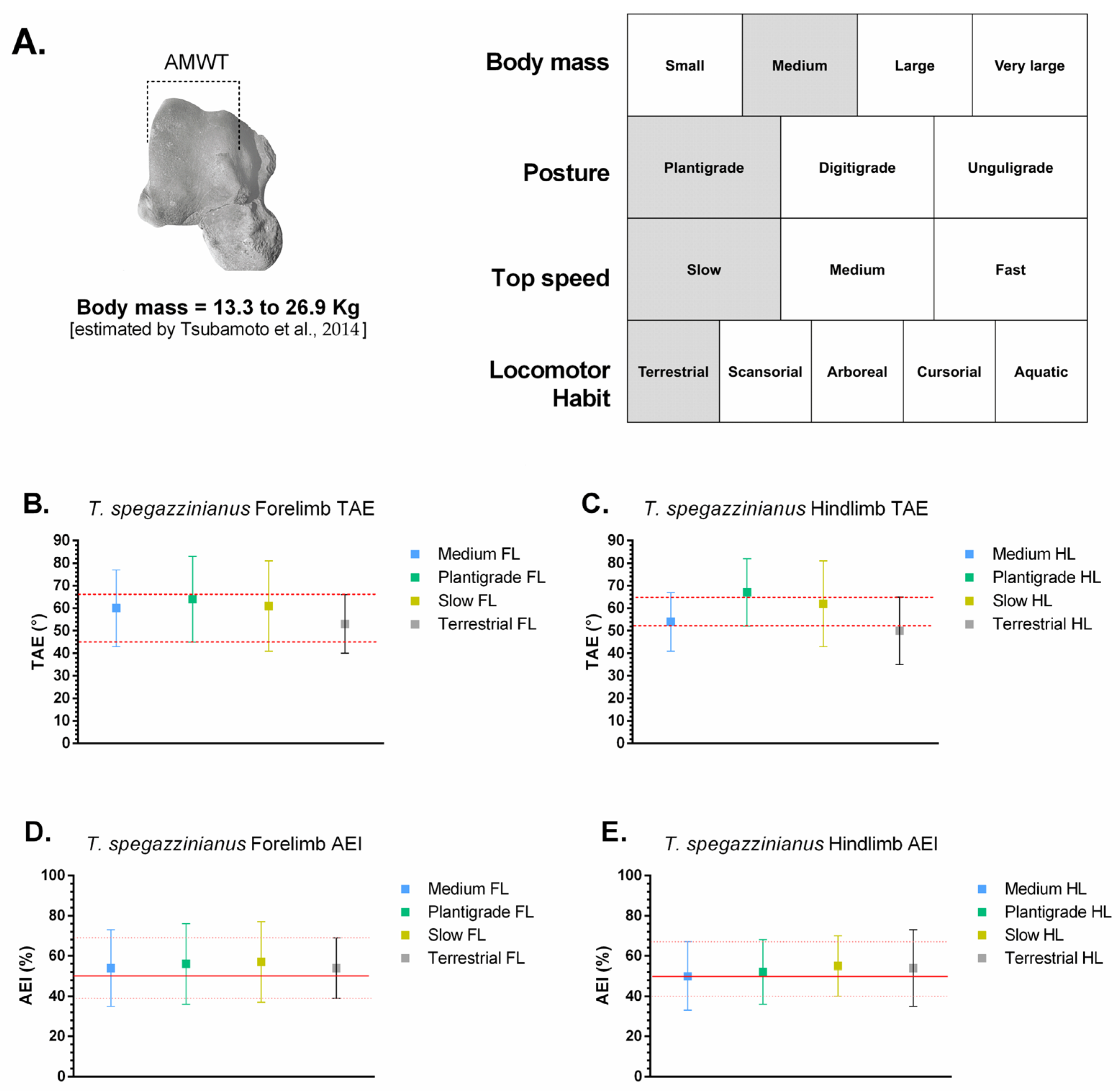 Biology 14 01290 g006