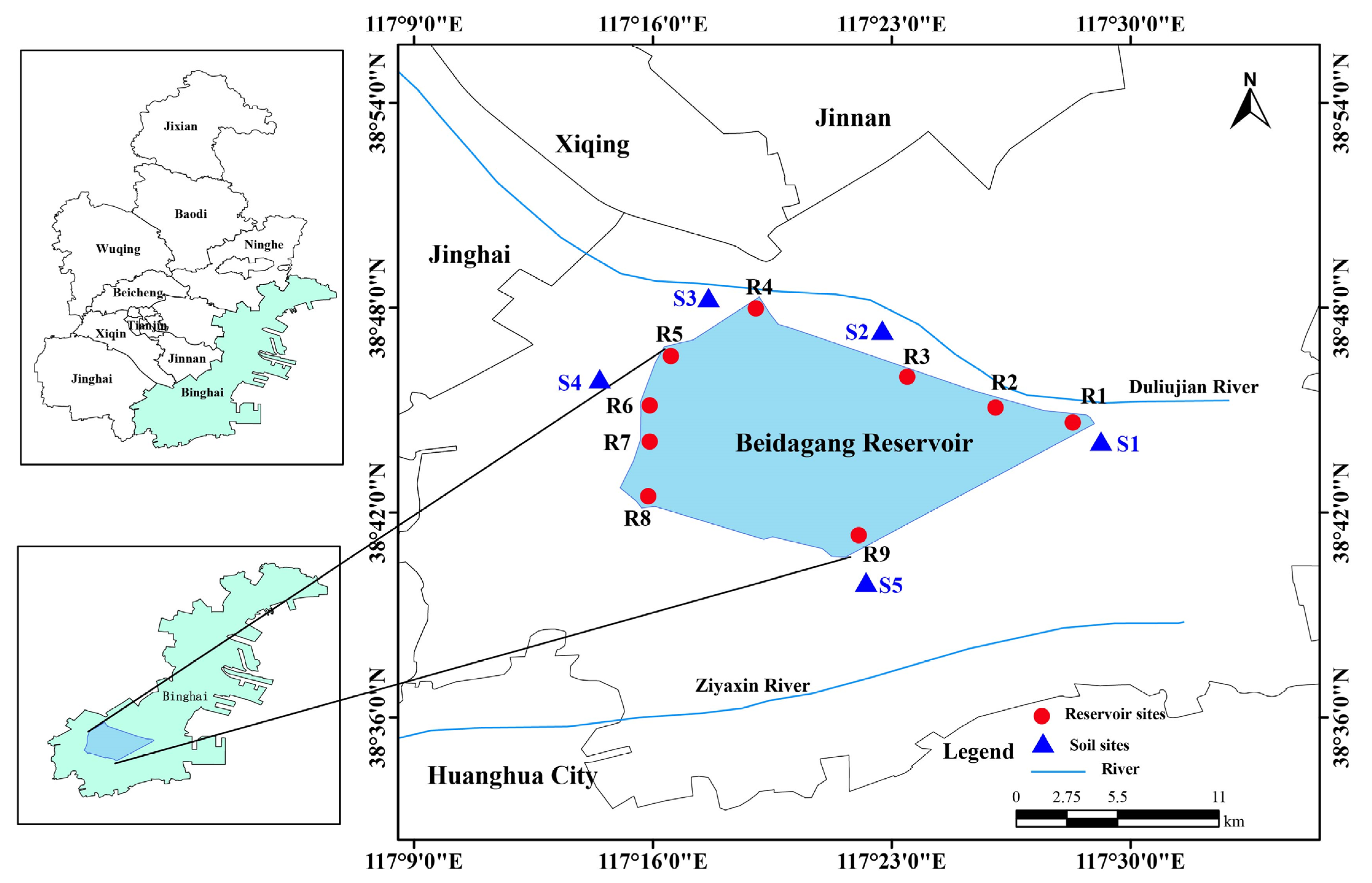 Biology 14 01291 g001 Biology 14 01291 g001