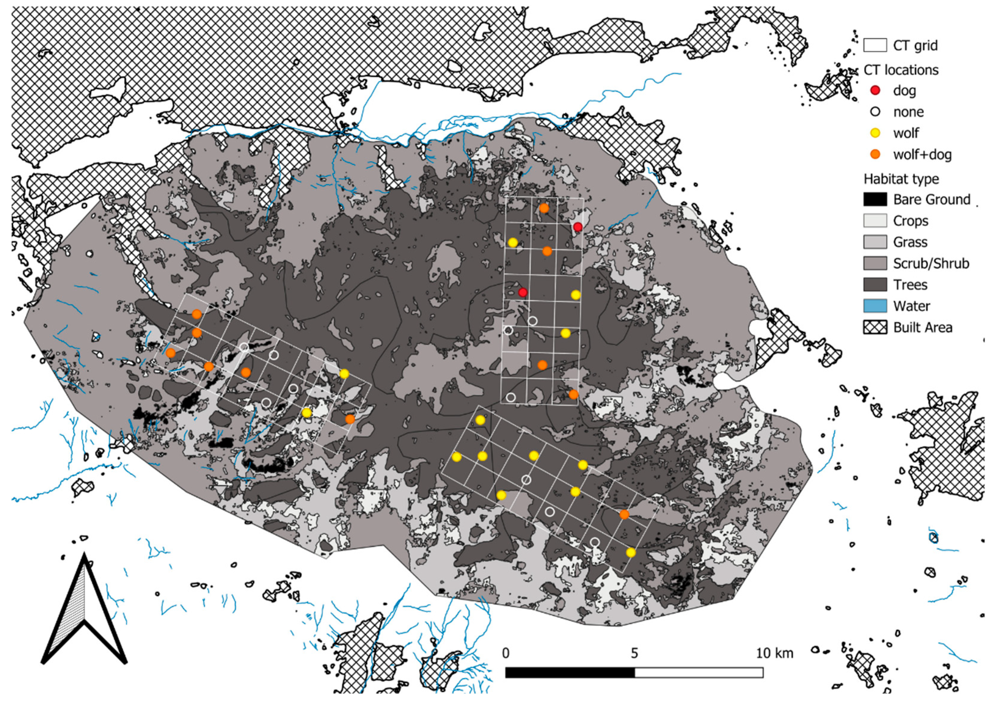Biology 14 01292 g001