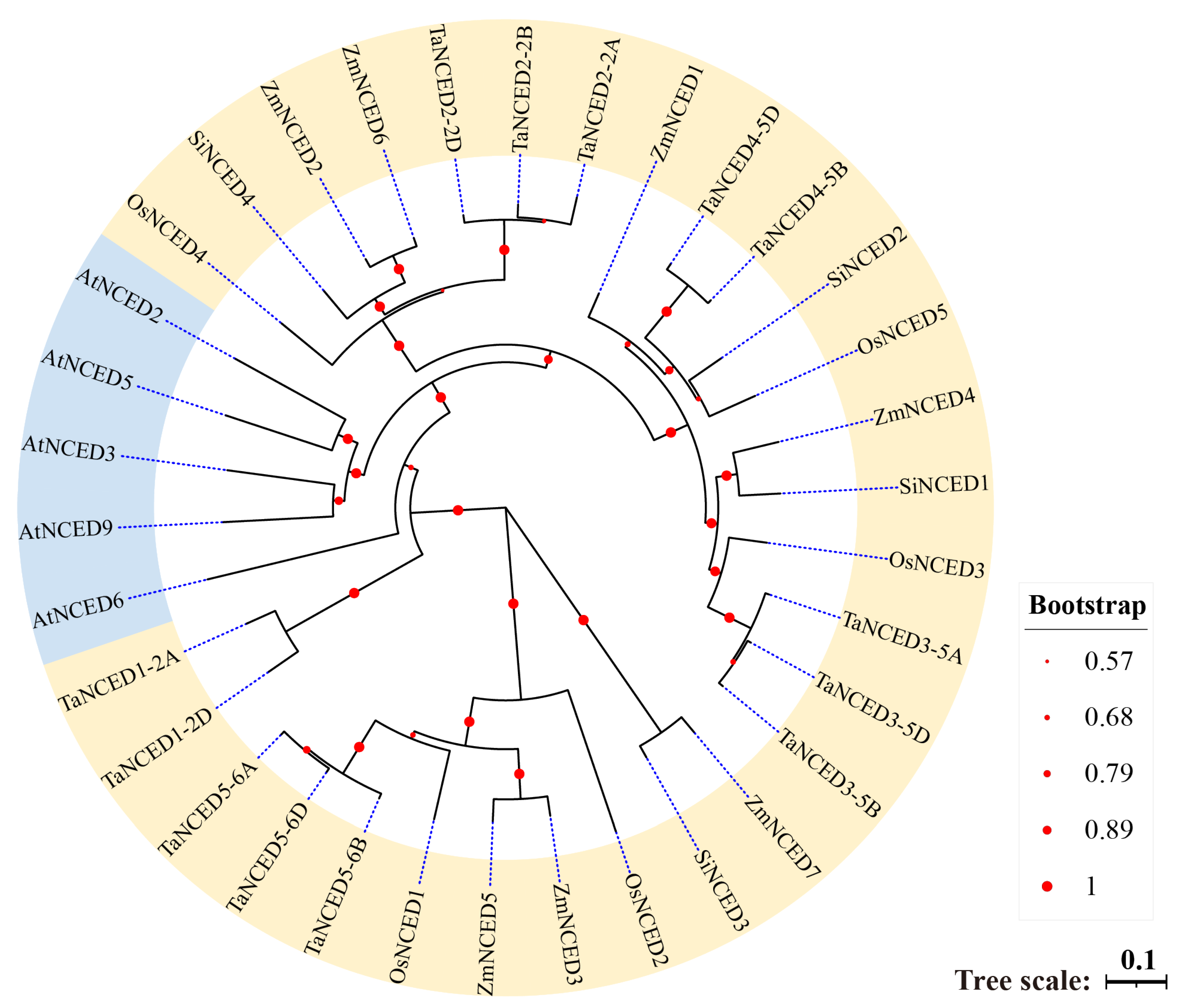 Biology 14 01293 g001 Biology 14 01293 g001