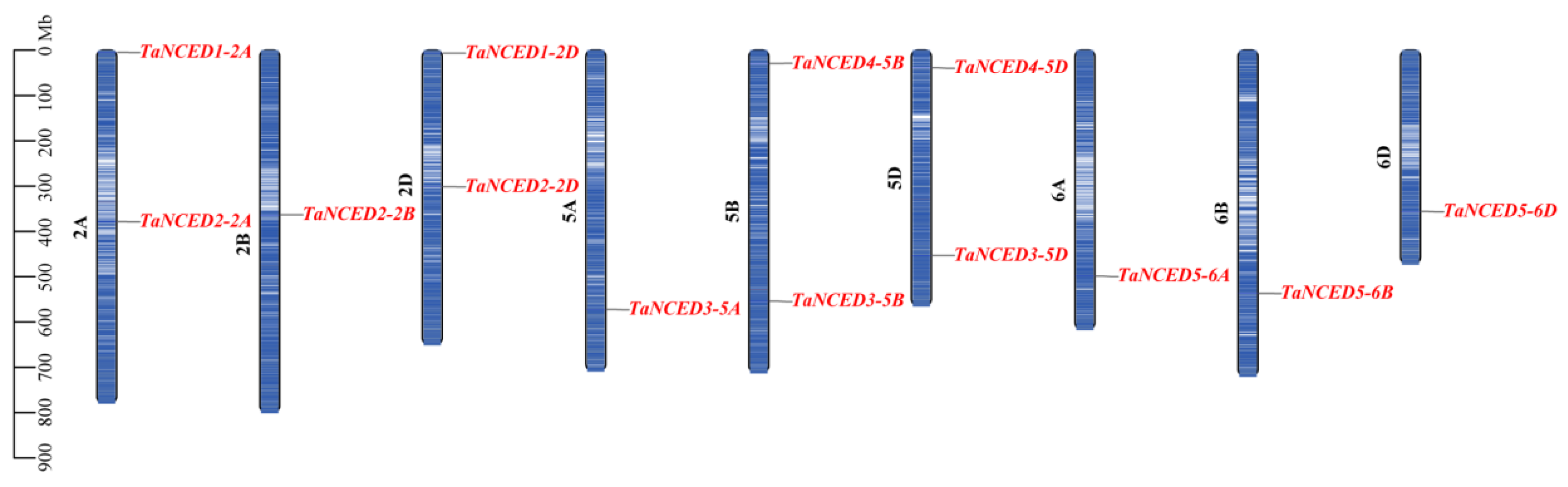 Biology 14 01293 g003 Biology 14 01293 g003
