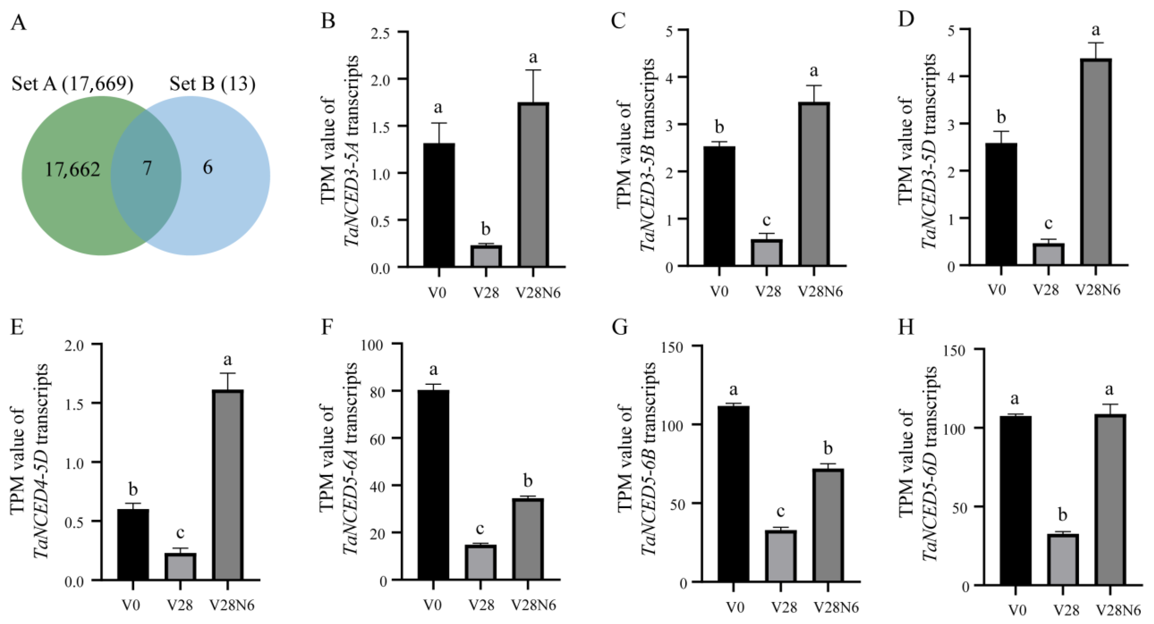 Biology 14 01293 g005 Biology 14 01293 g005