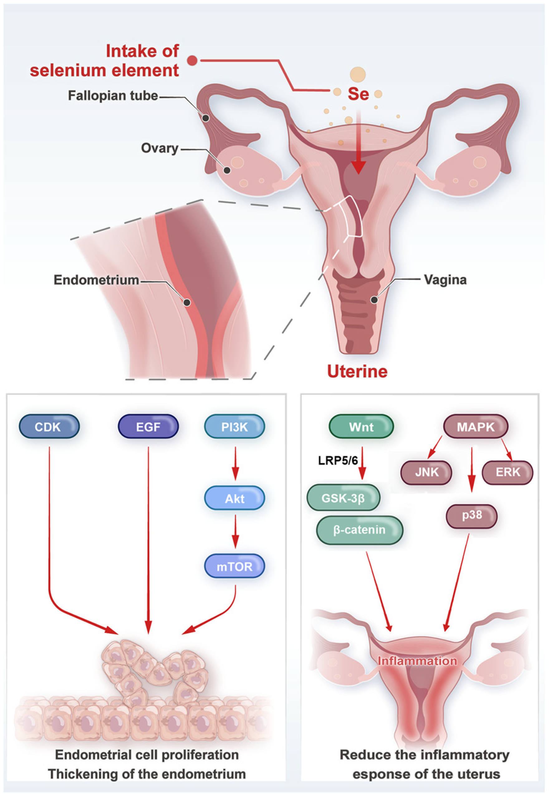 Biology 14 01295 g002