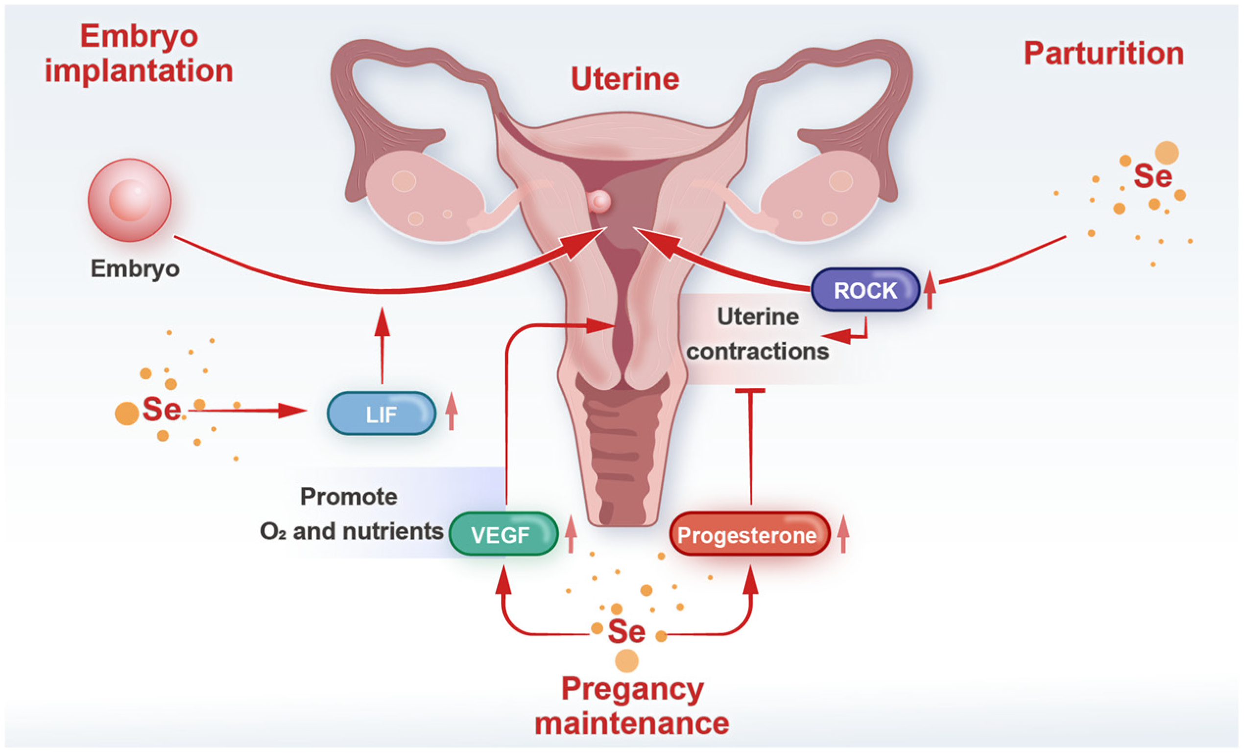 Biology 14 01295 g003