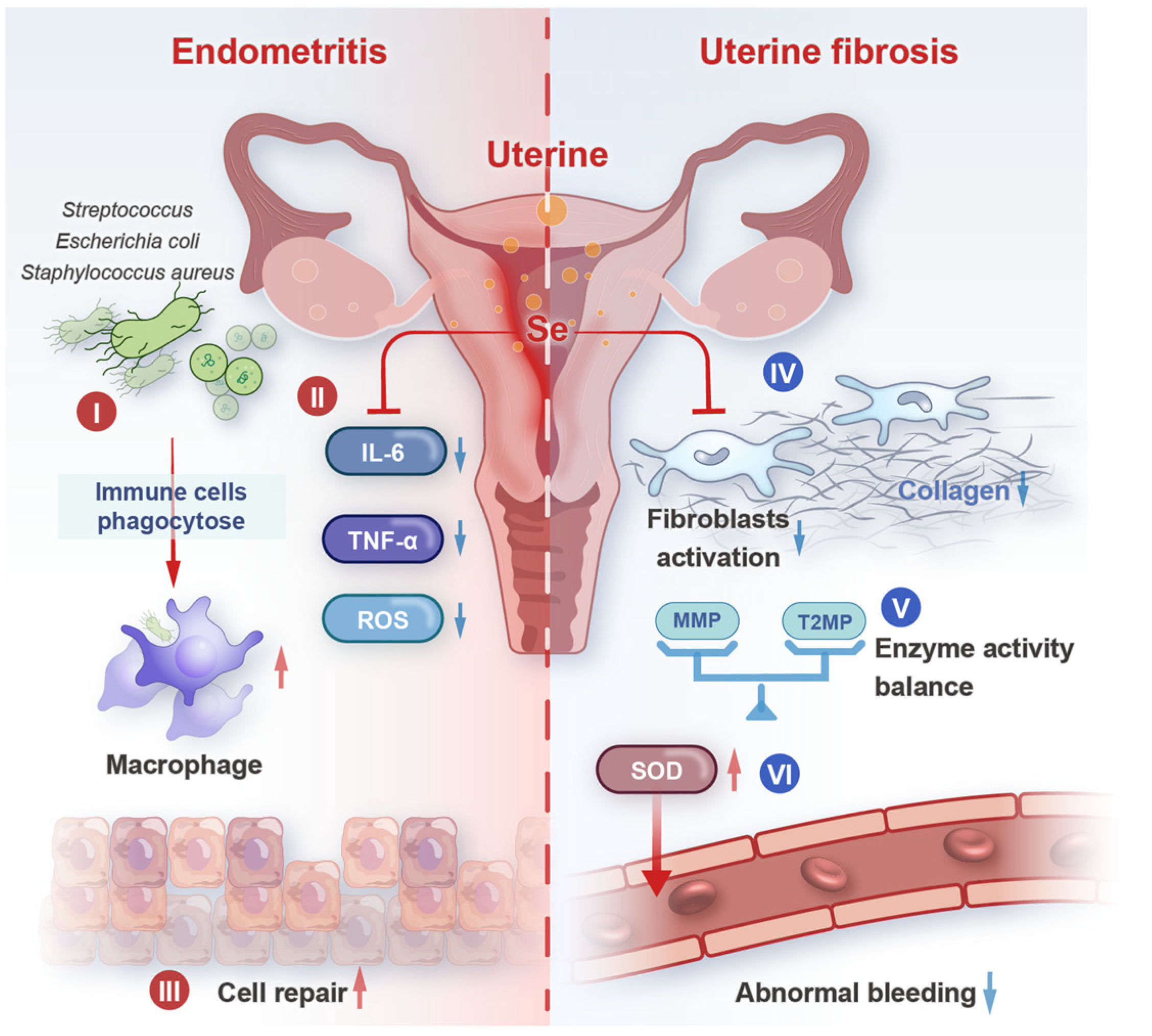 Biology 14 01295 g004