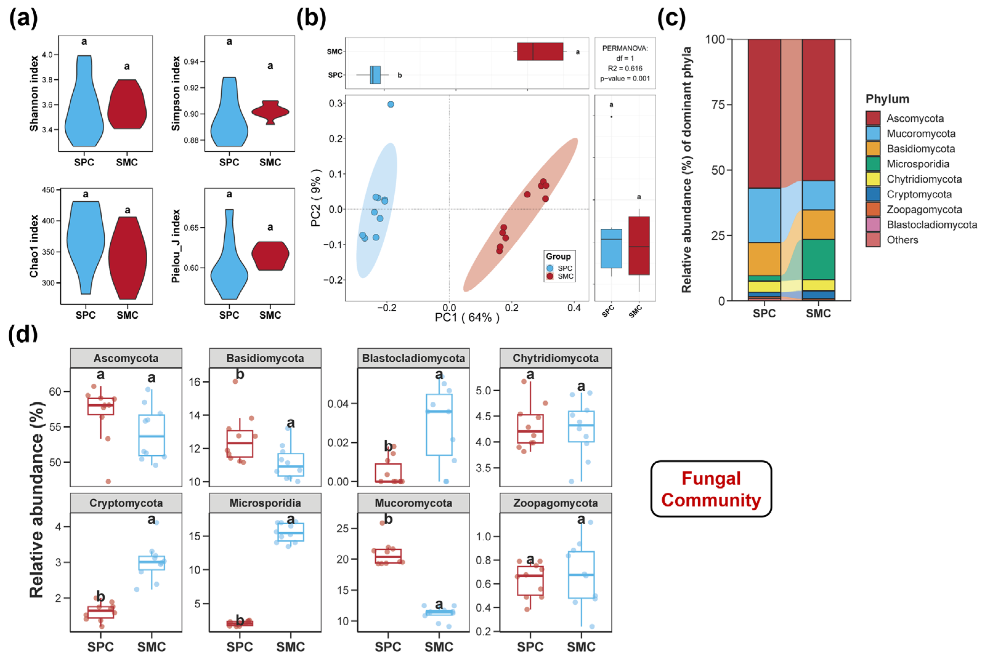 Biology 14 01297 g002 Biology 14 01297 g002