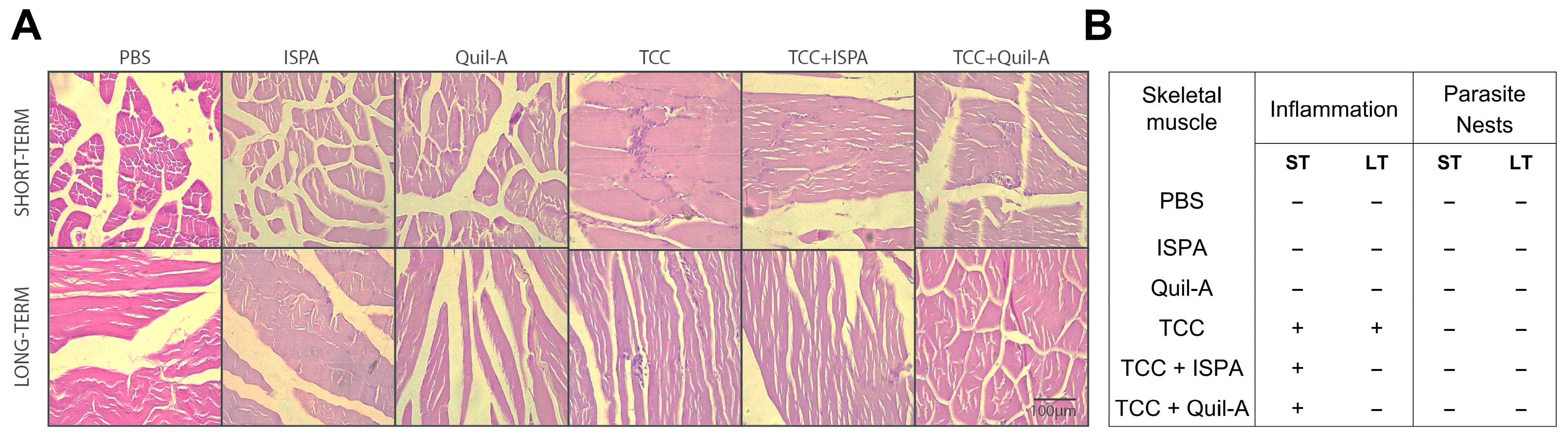 Biology 14 01298 g002 Biology 14 01298 g002