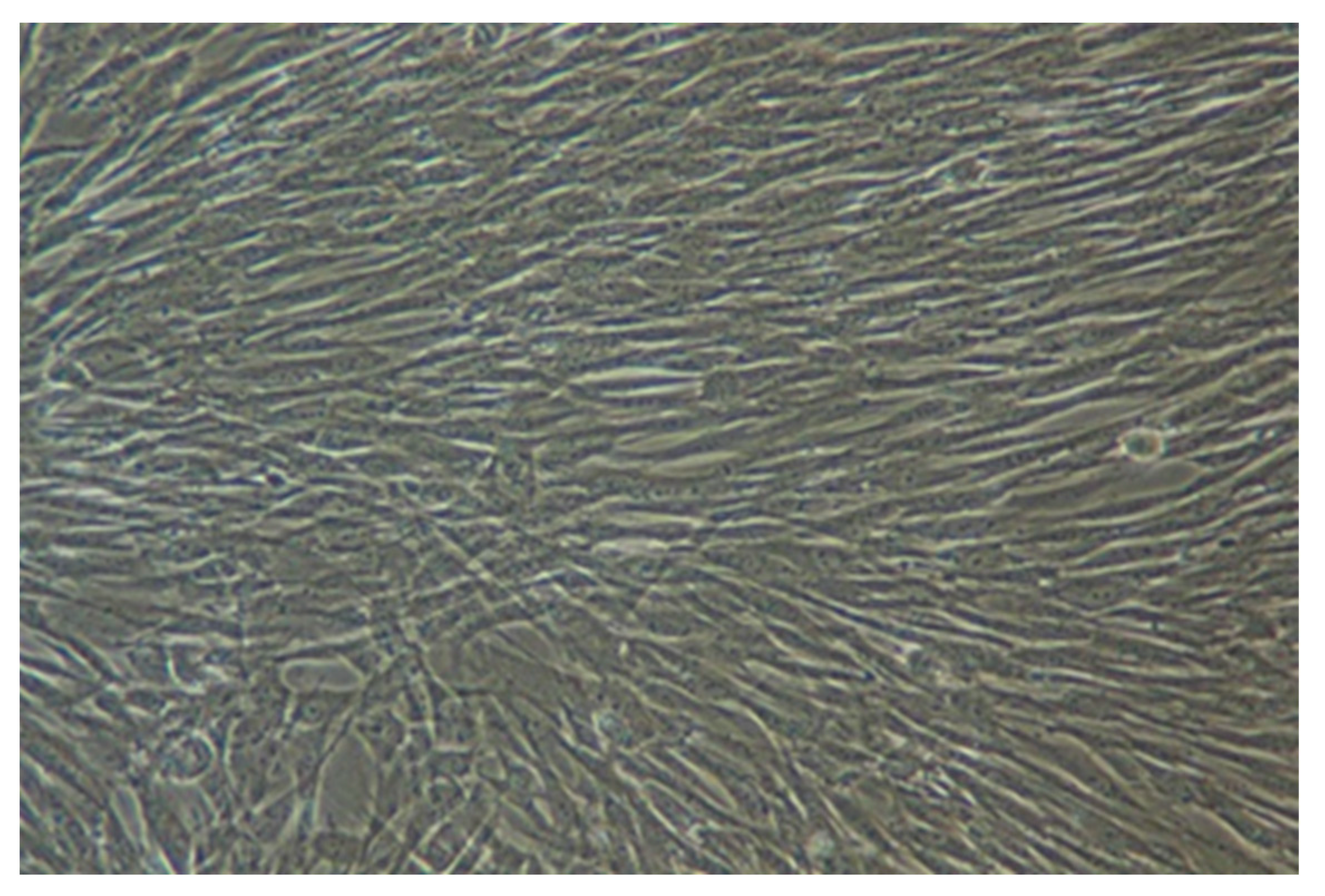 Biology 14 01305 g001 Biology 14 01305 g001