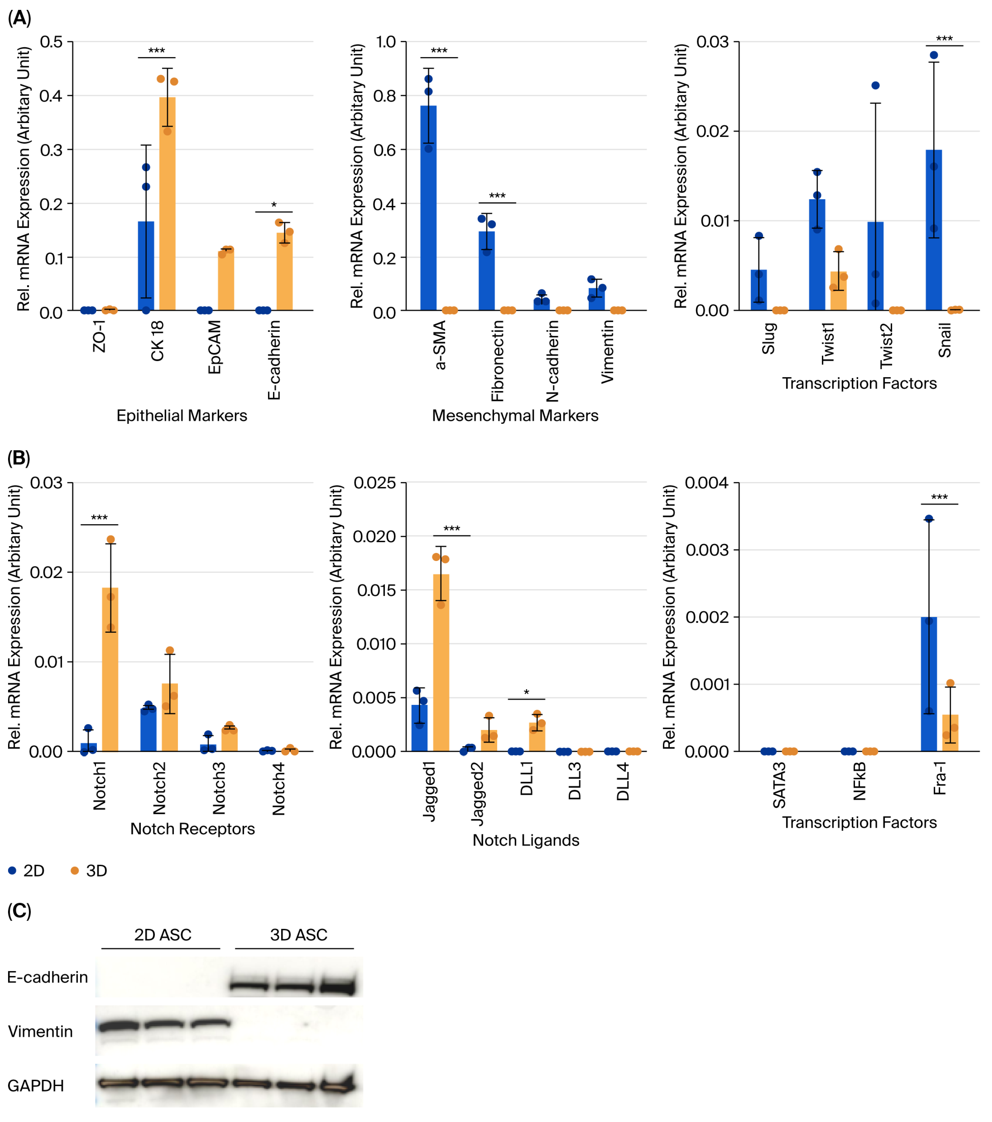 Biology 14 01306 g002