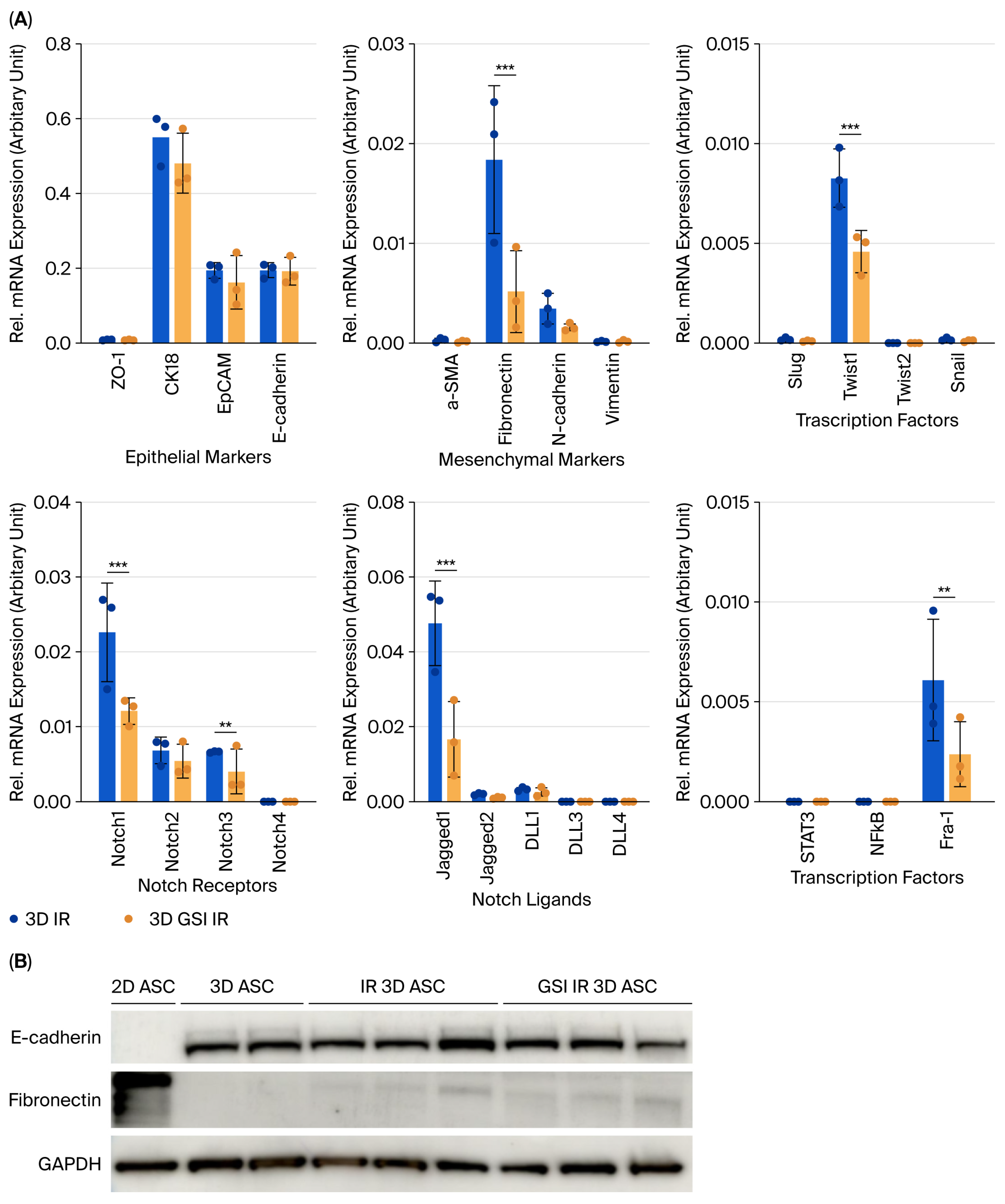 Biology 14 01306 g006