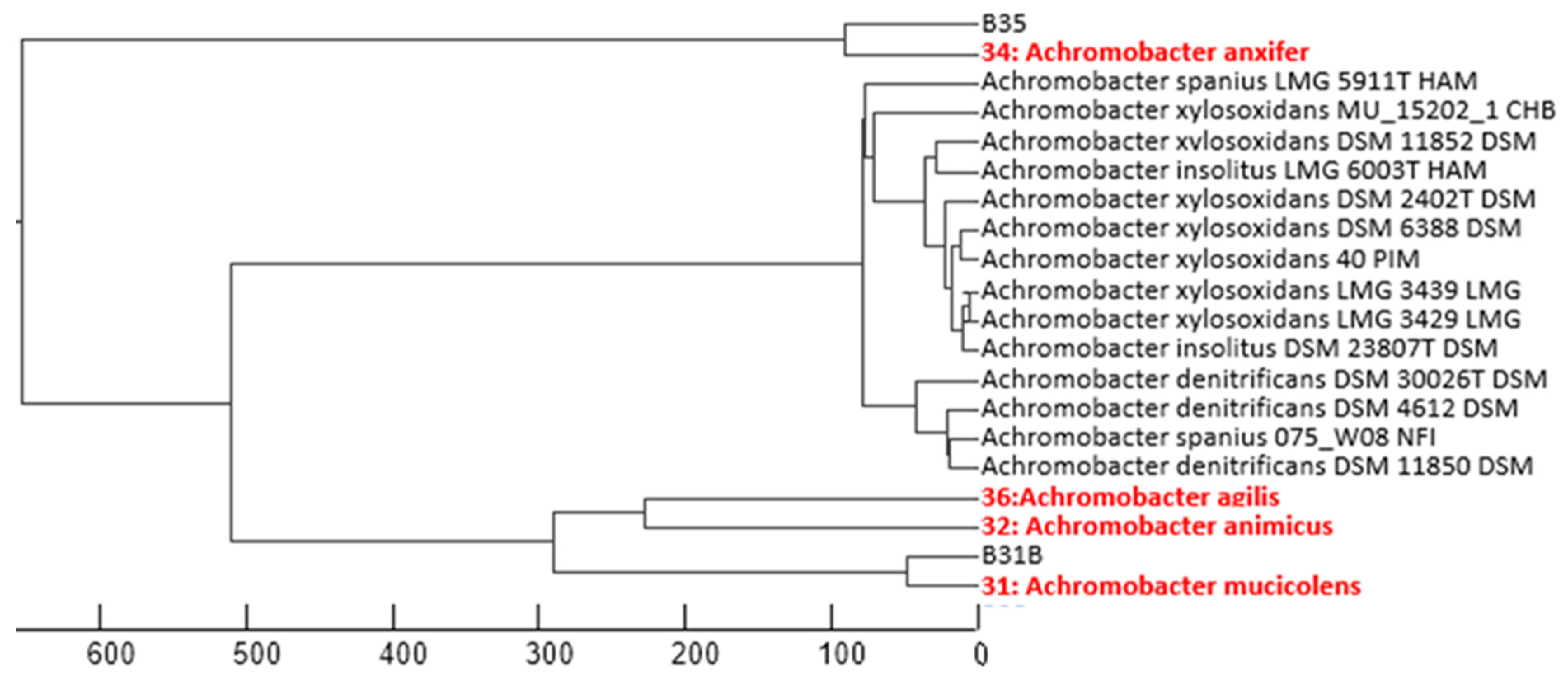 Biology 14 01307 g003