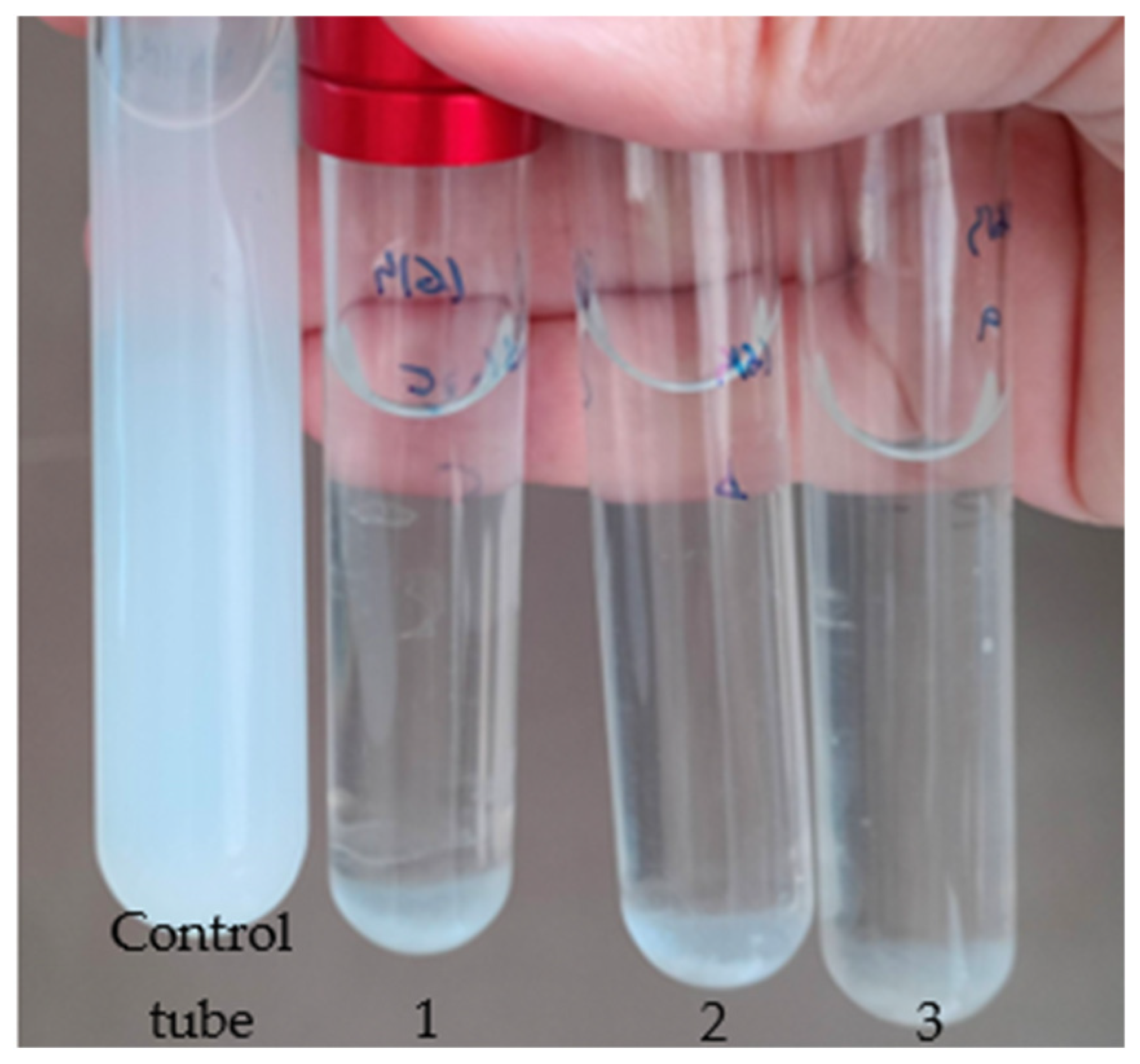Biology 14 01307 g004