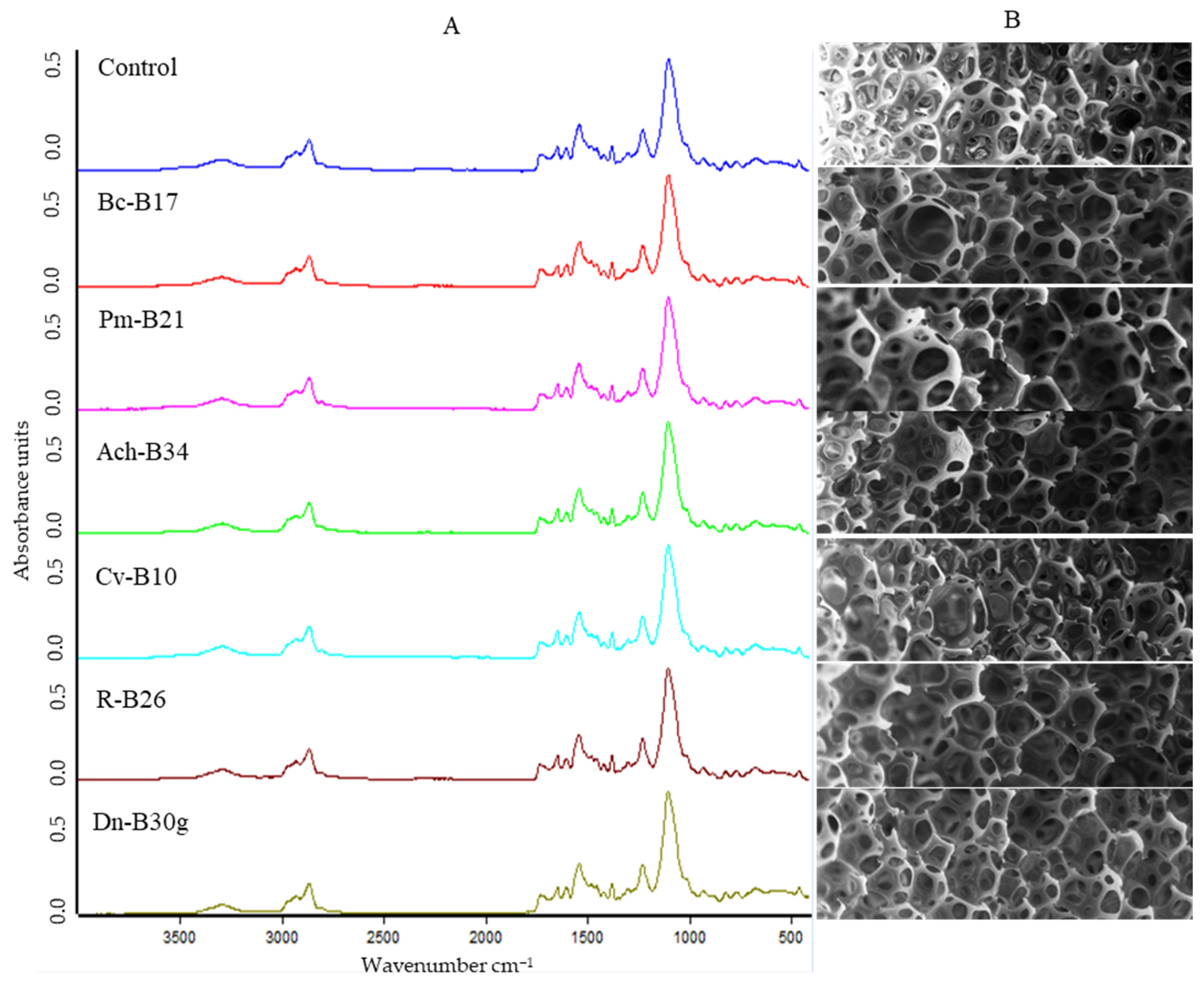 Biology 14 01307 g008