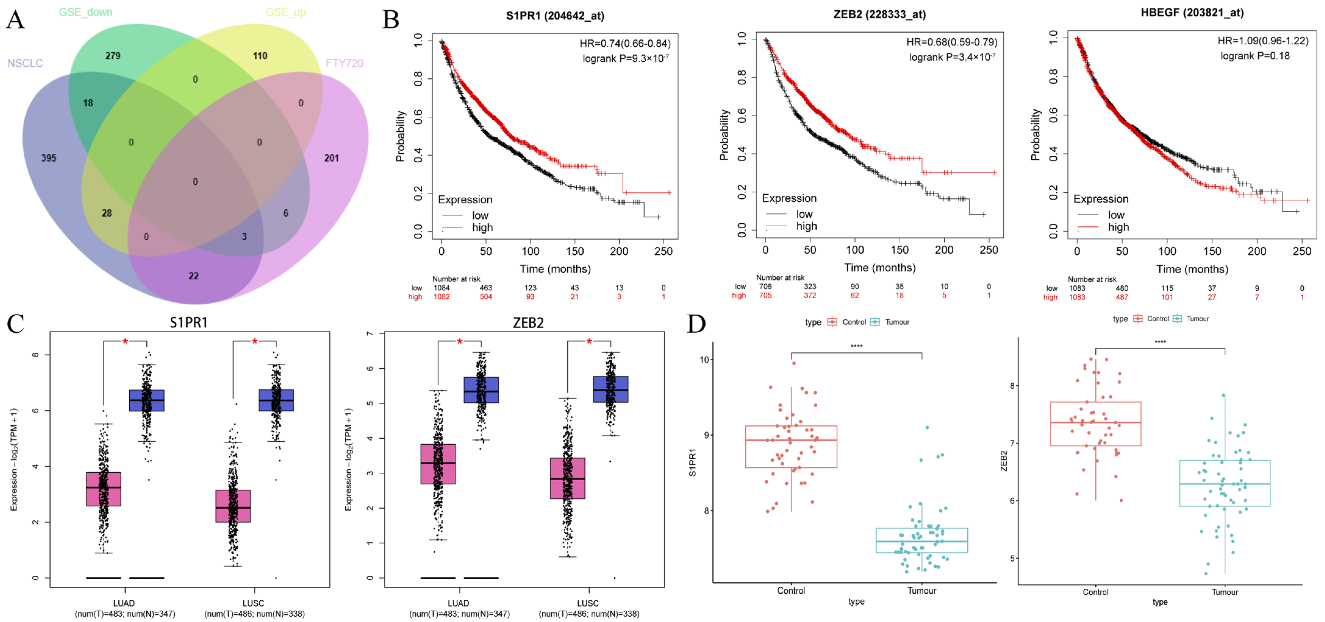 Biology 14 01311 g003 Biology 14 01311 g003