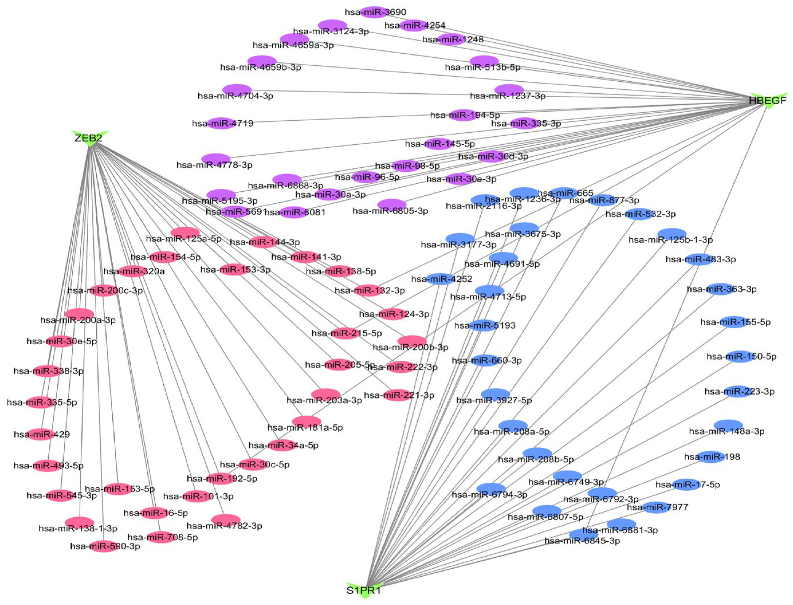 Biology 14 01311 g004 Biology 14 01311 g004