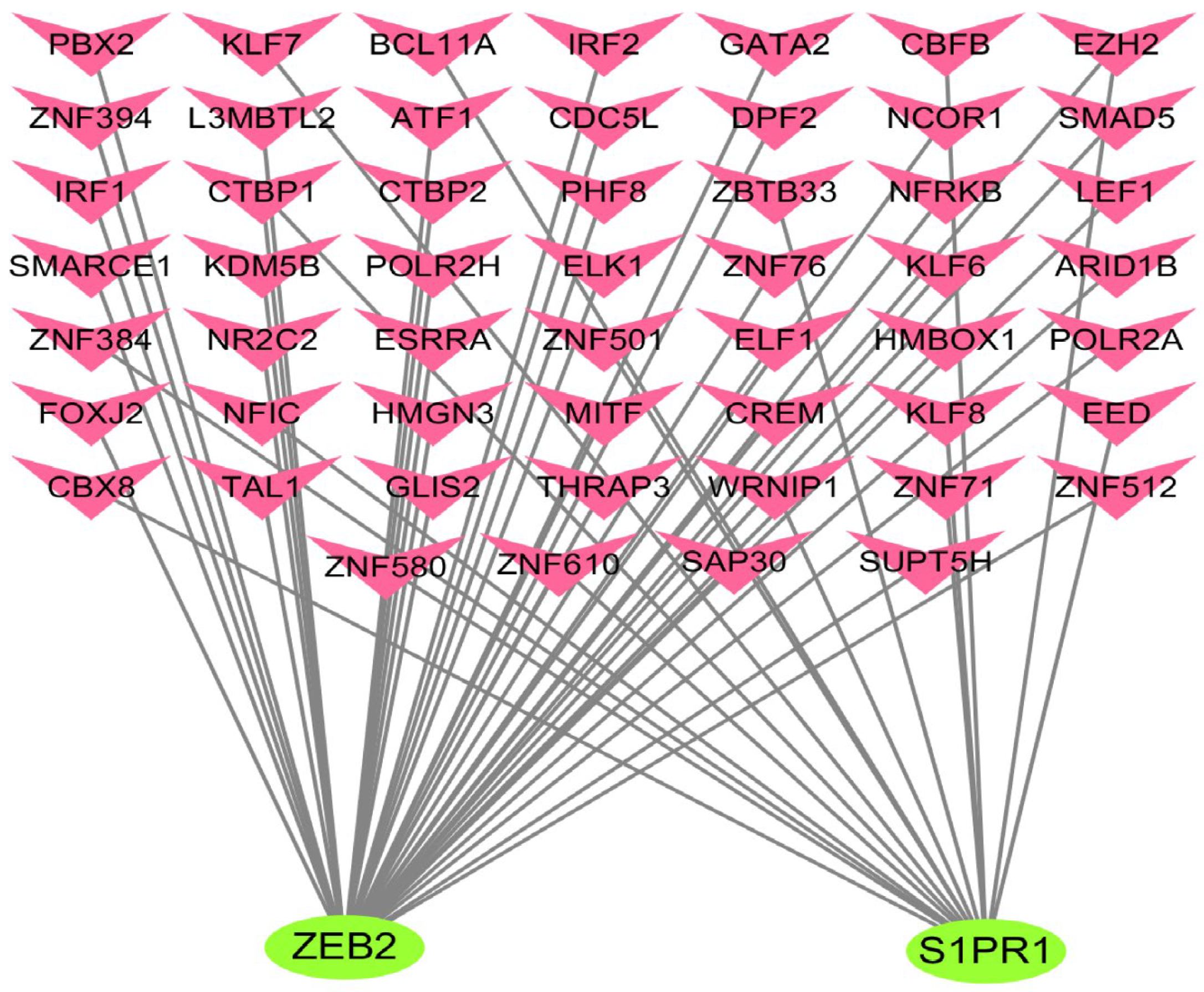 Biology 14 01311 g005 Biology 14 01311 g005