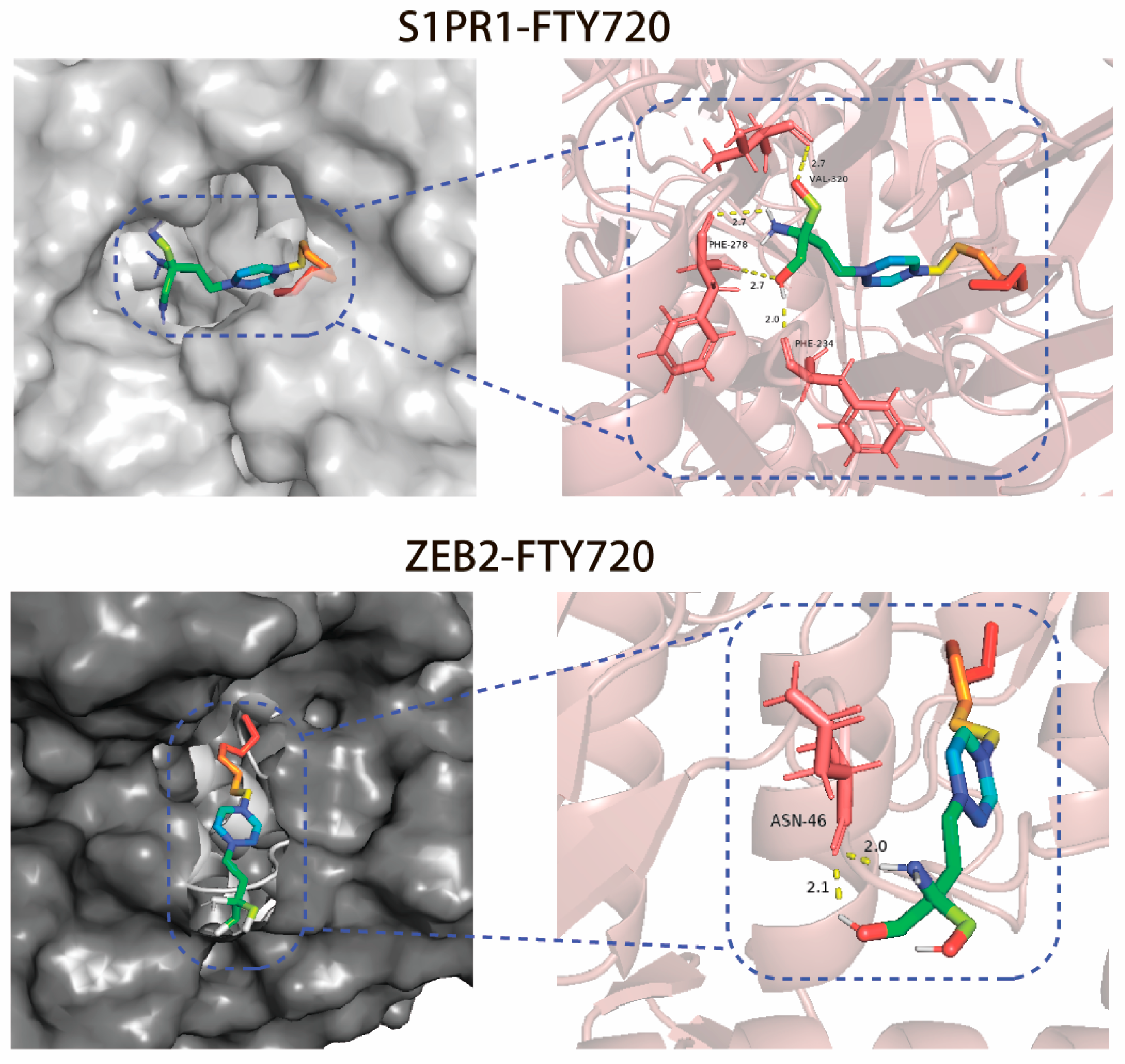Biology 14 01311 g007 Biology 14 01311 g007