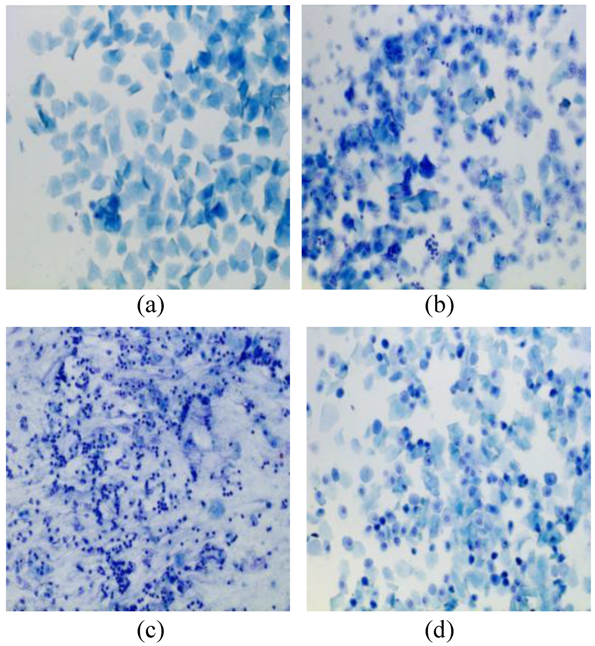 Biology 14 01312 g001