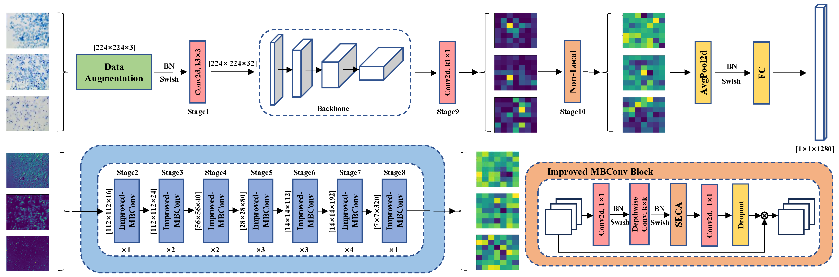 Biology 14 01312 g002