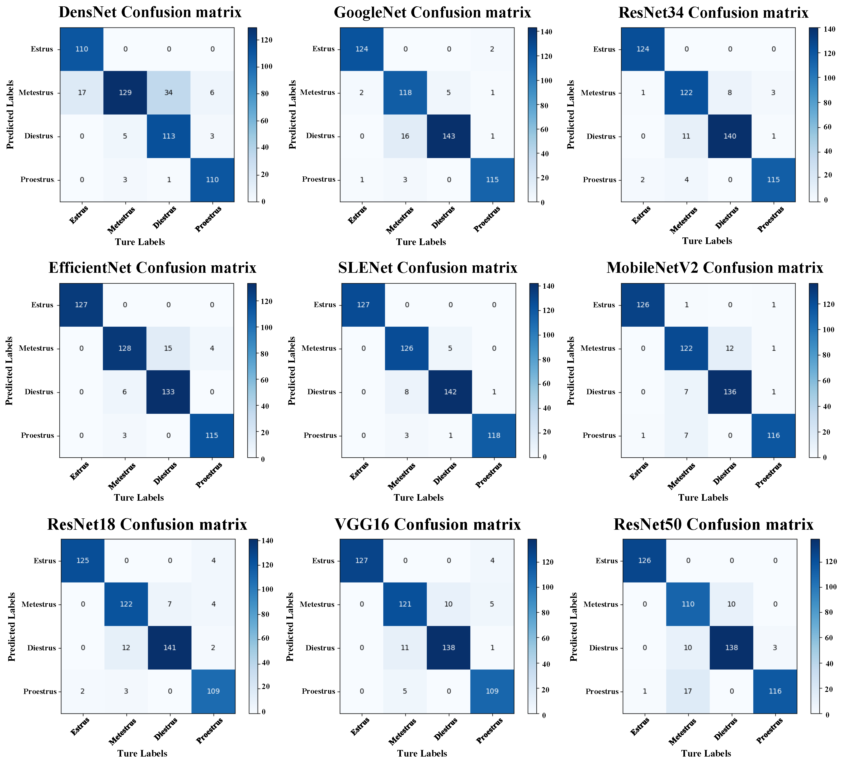 Biology 14 01312 g007