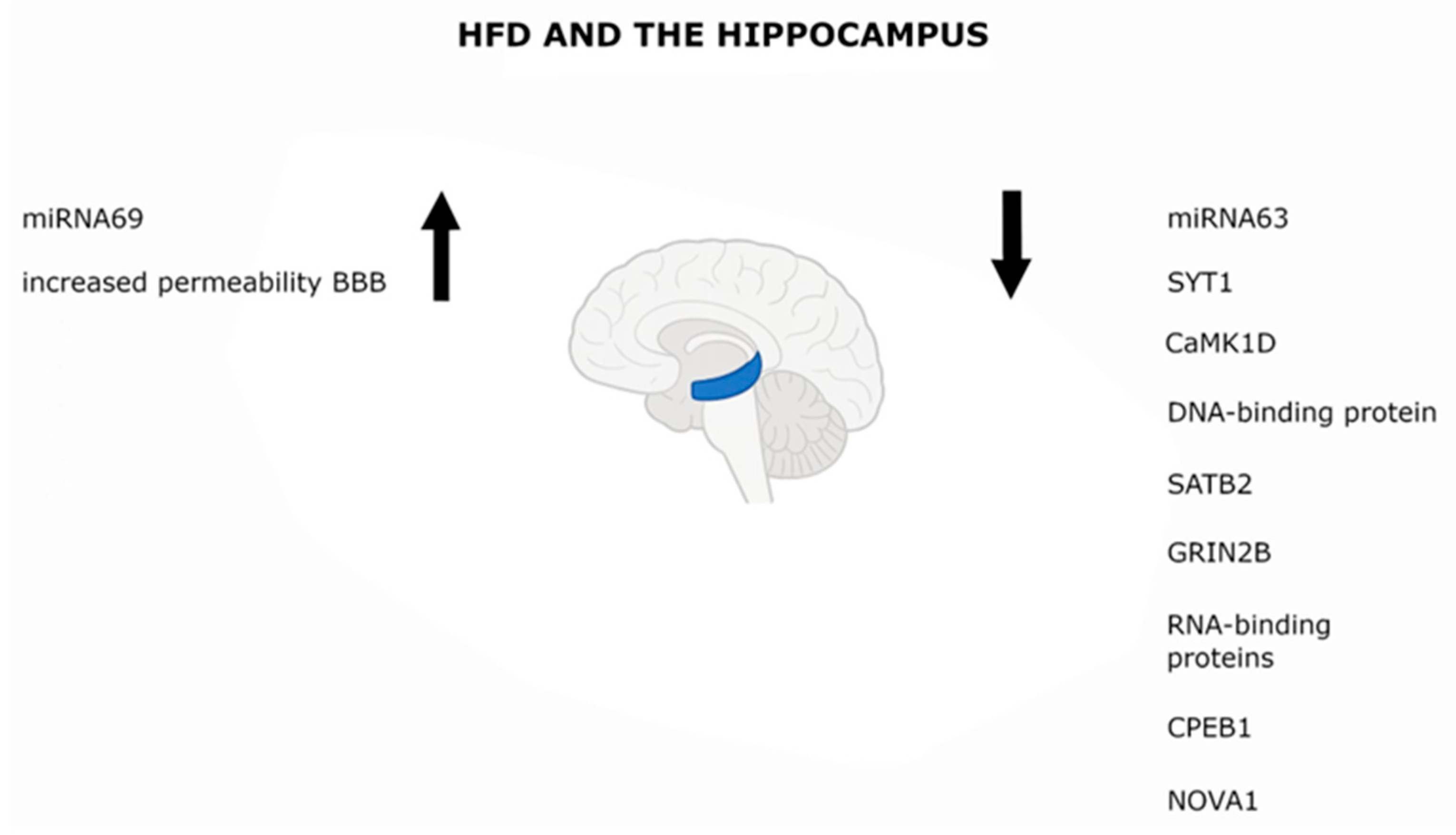 Biology 14 01317 g001
