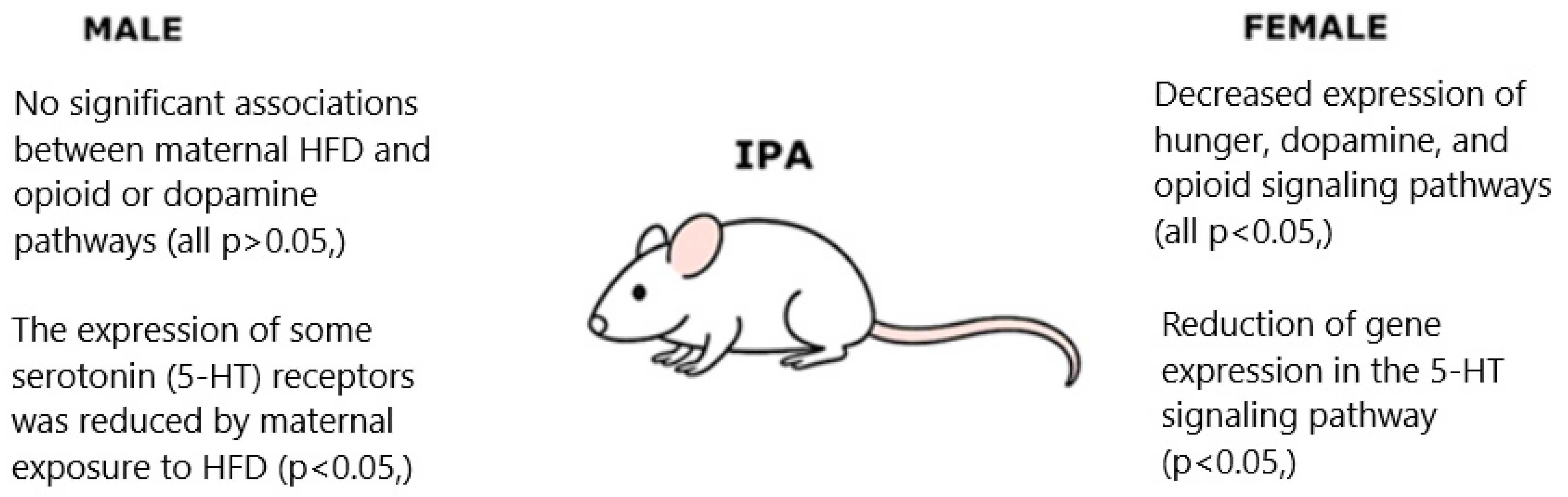 Biology 14 01317 g002