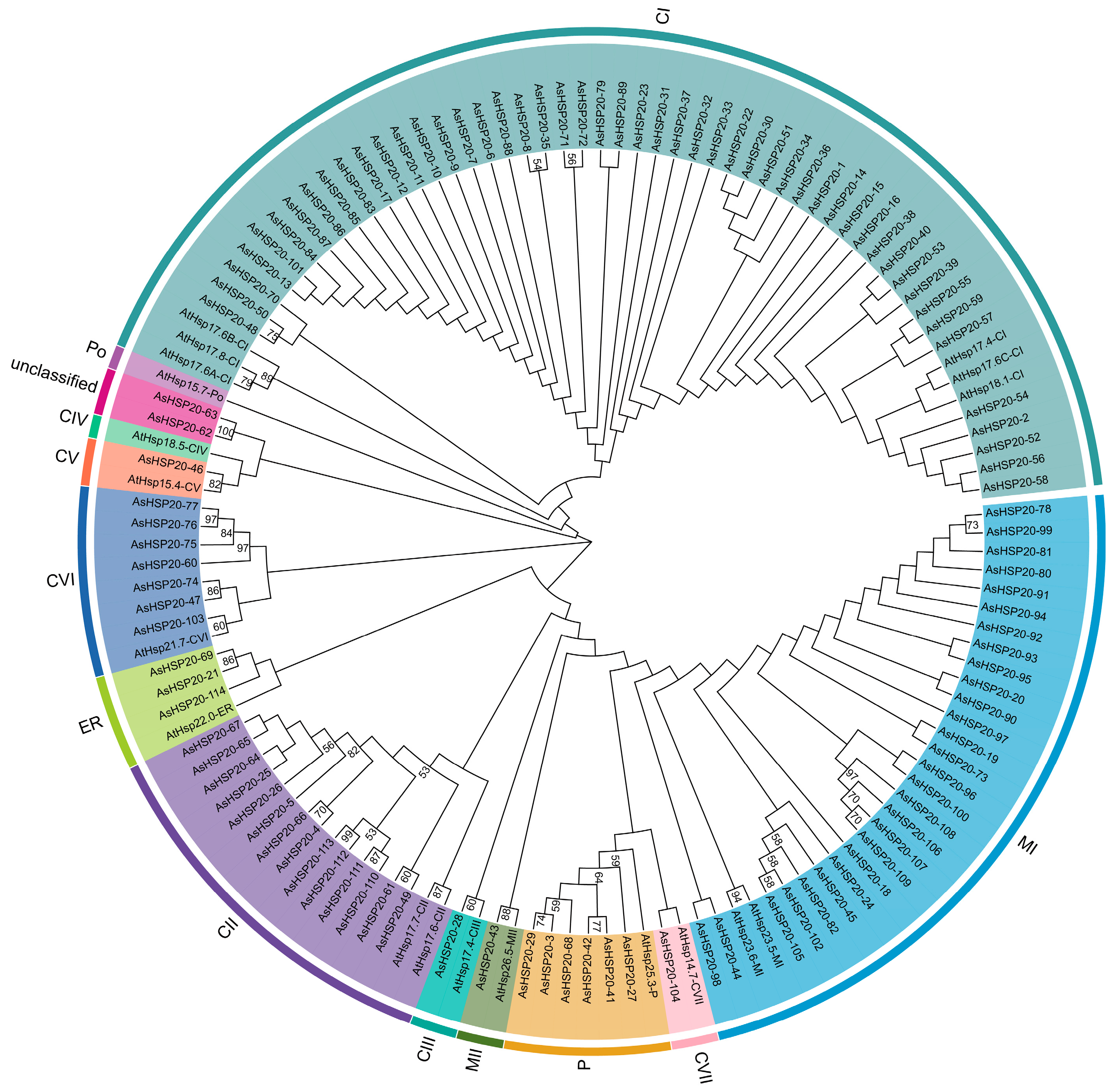 Biology 14 01326 g001