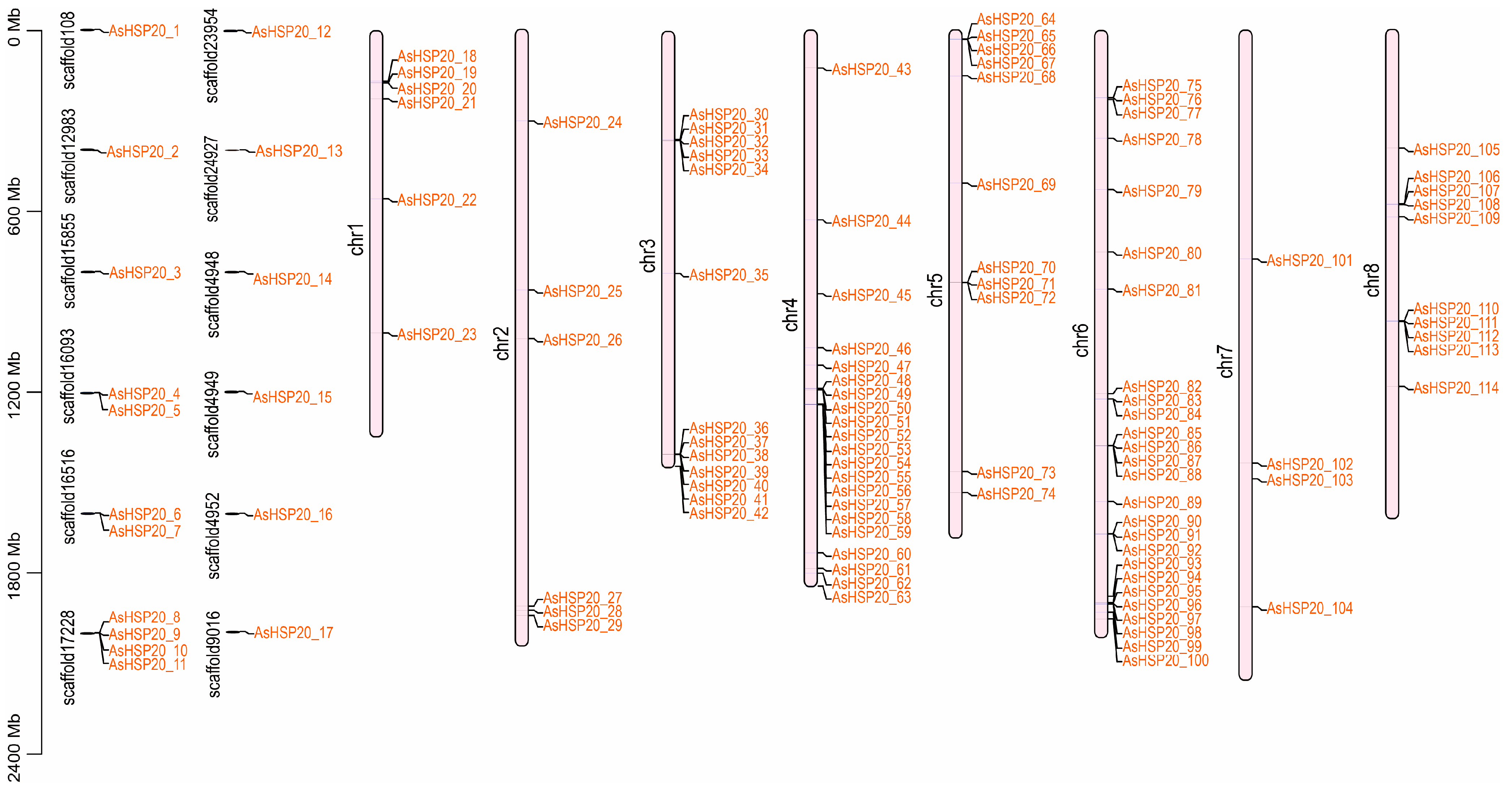 Biology 14 01326 g003