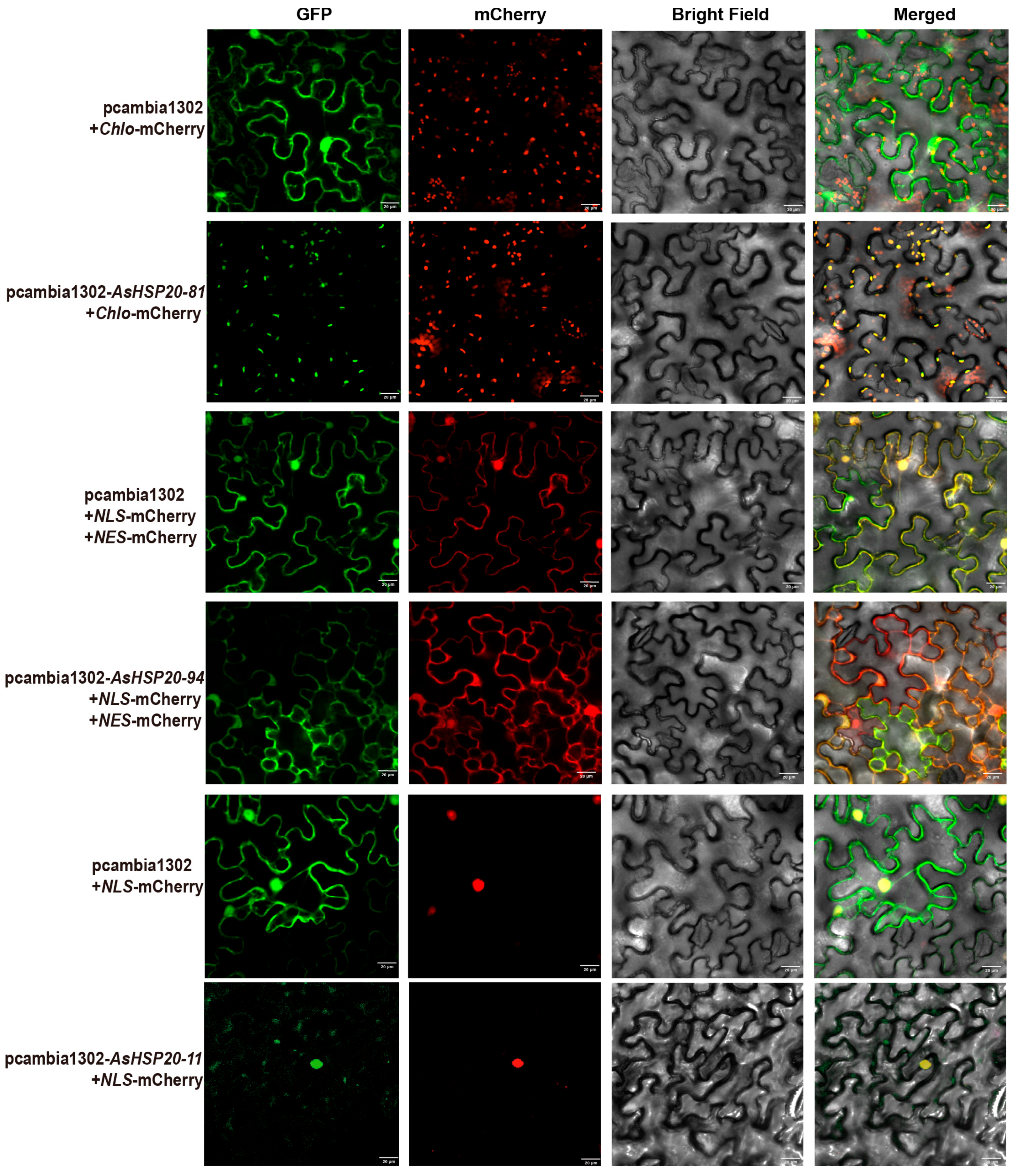 Biology 14 01326 g009