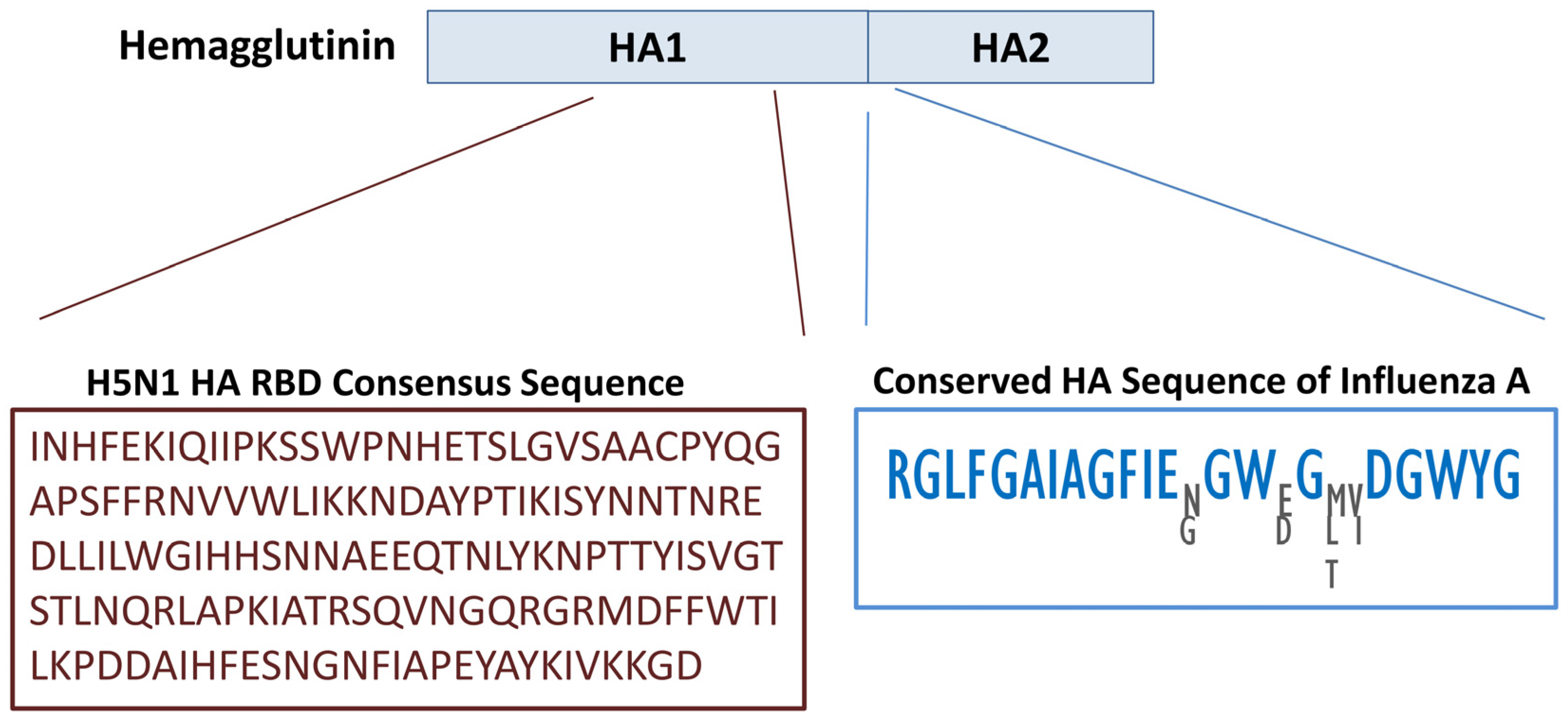 Biology 14 01327 g001 Biology 14 01327 g001