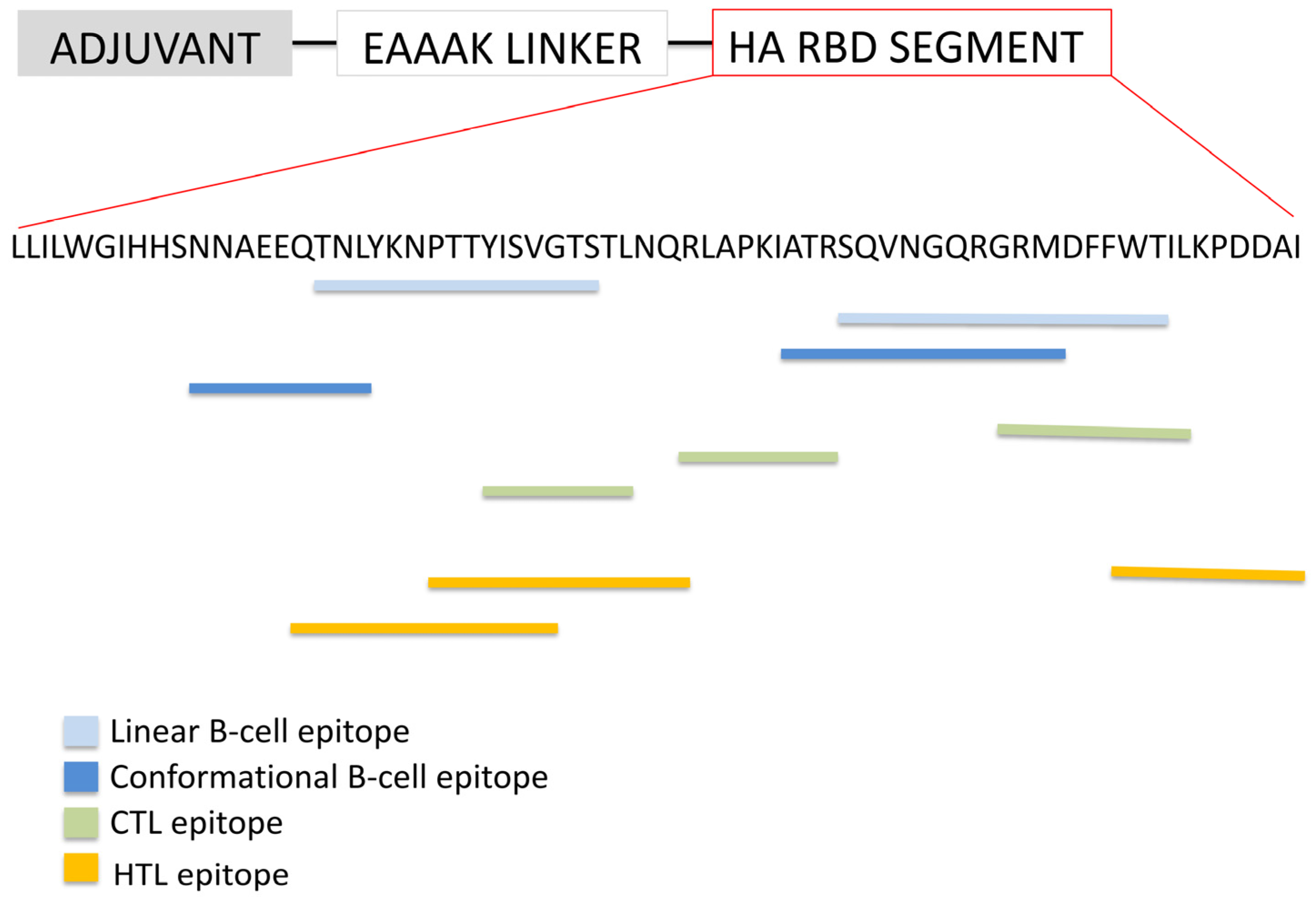 Biology 14 01327 g004 Biology 14 01327 g004
