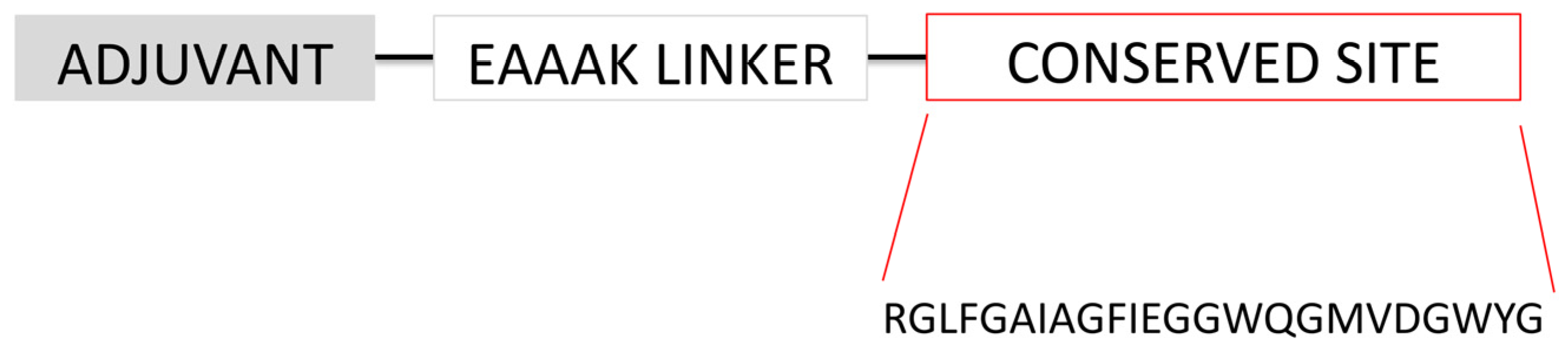 Biology 14 01327 g005 Biology 14 01327 g005