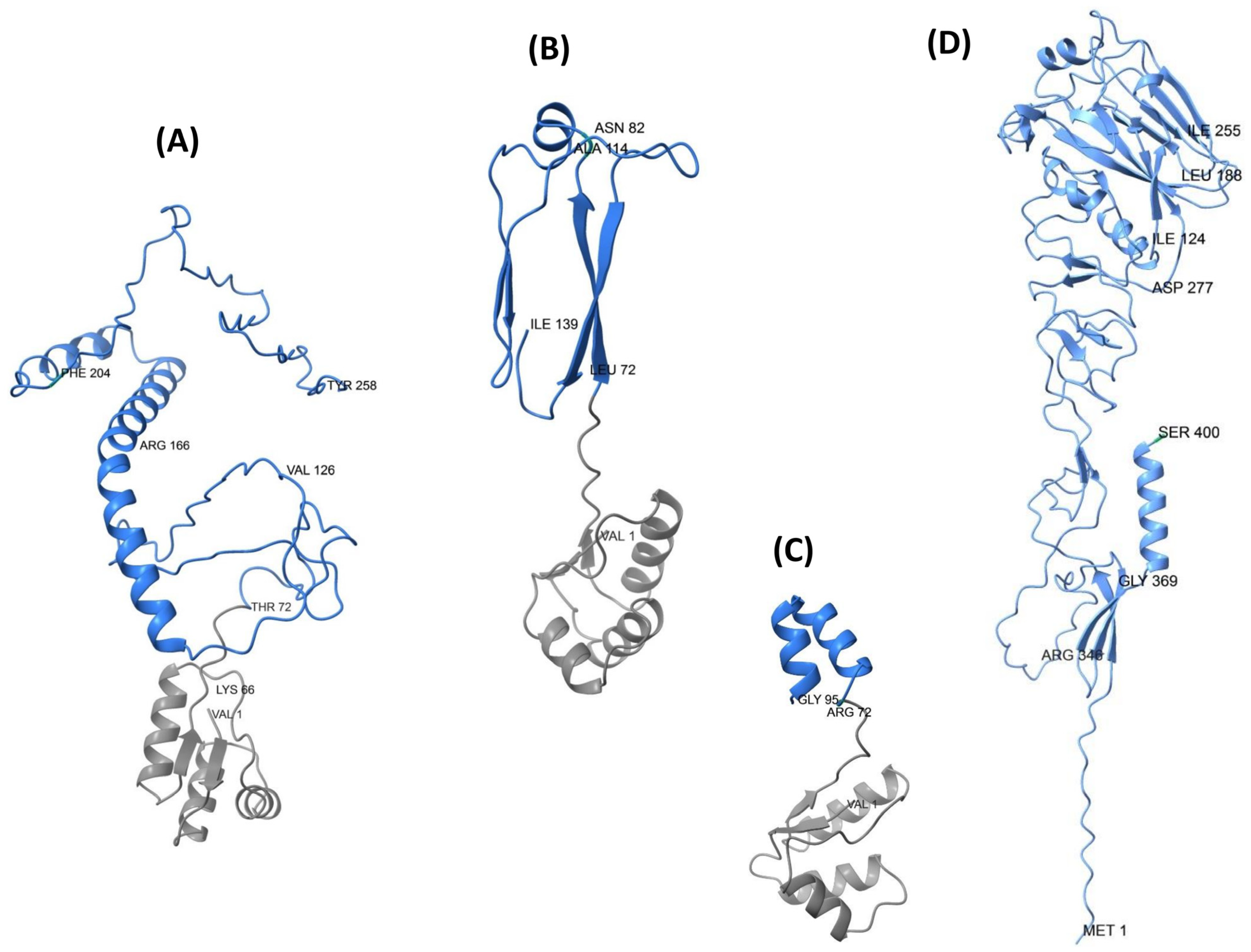 Biology 14 01327 g006 Biology 14 01327 g006