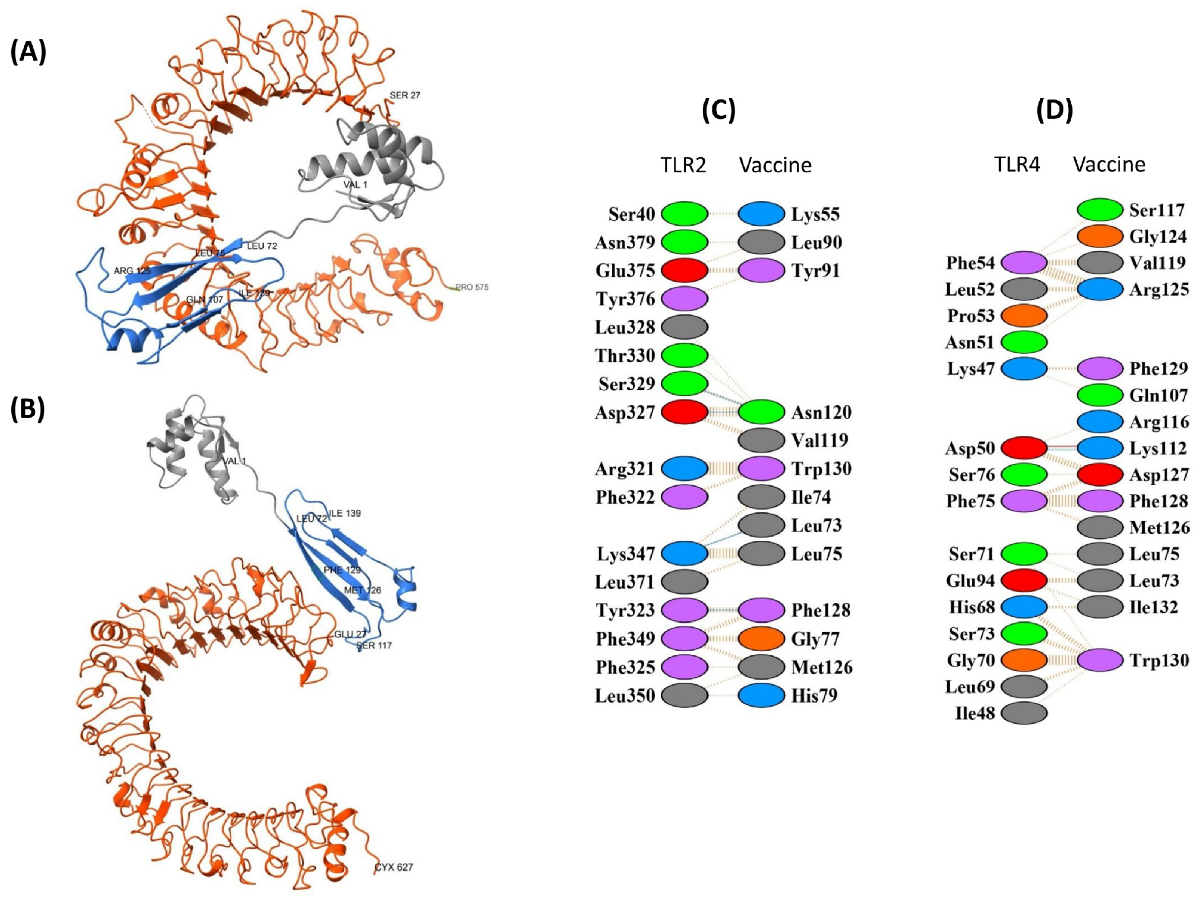 Biology 14 01327 g008 Biology 14 01327 g008