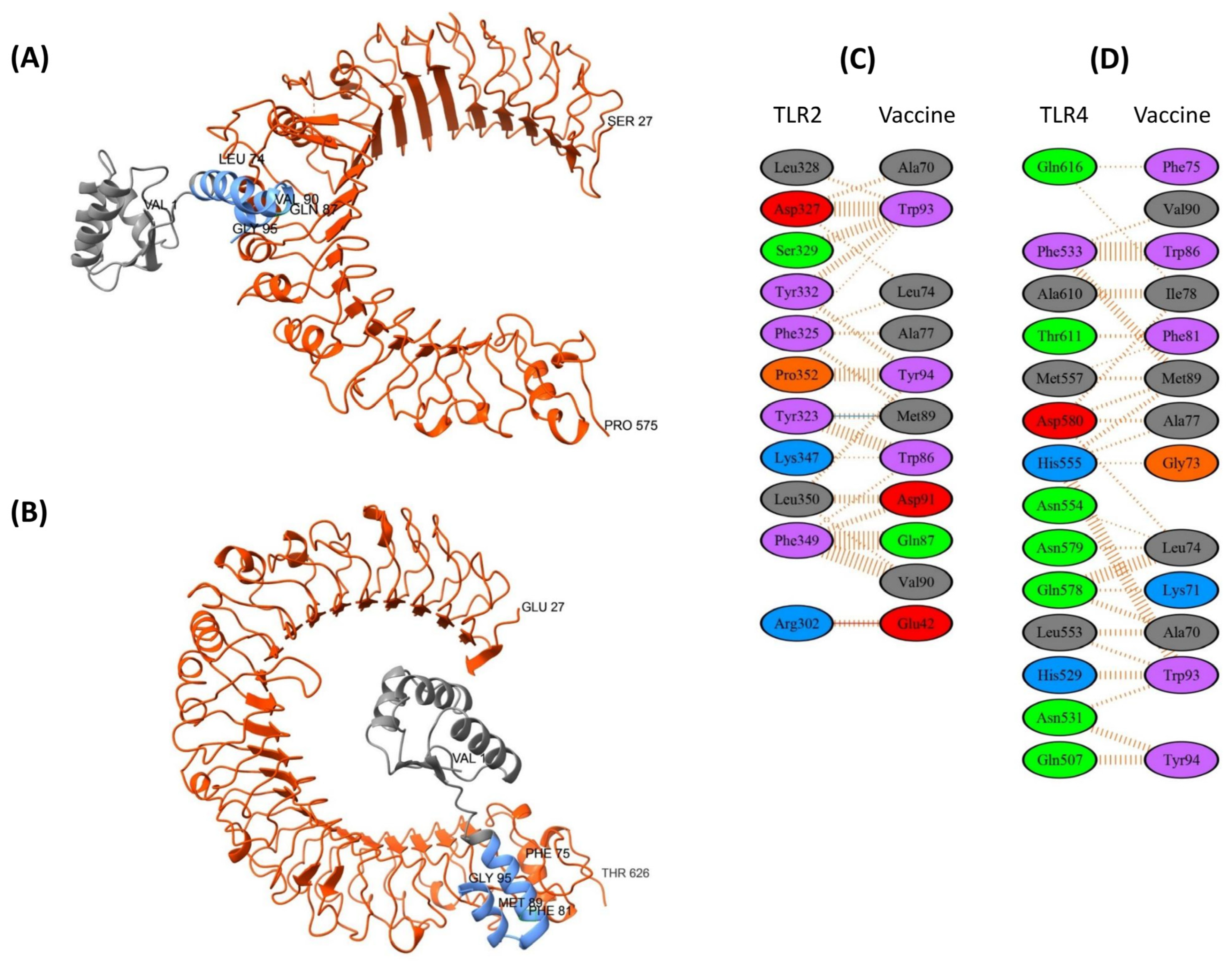 Biology 14 01327 g009 Biology 14 01327 g009