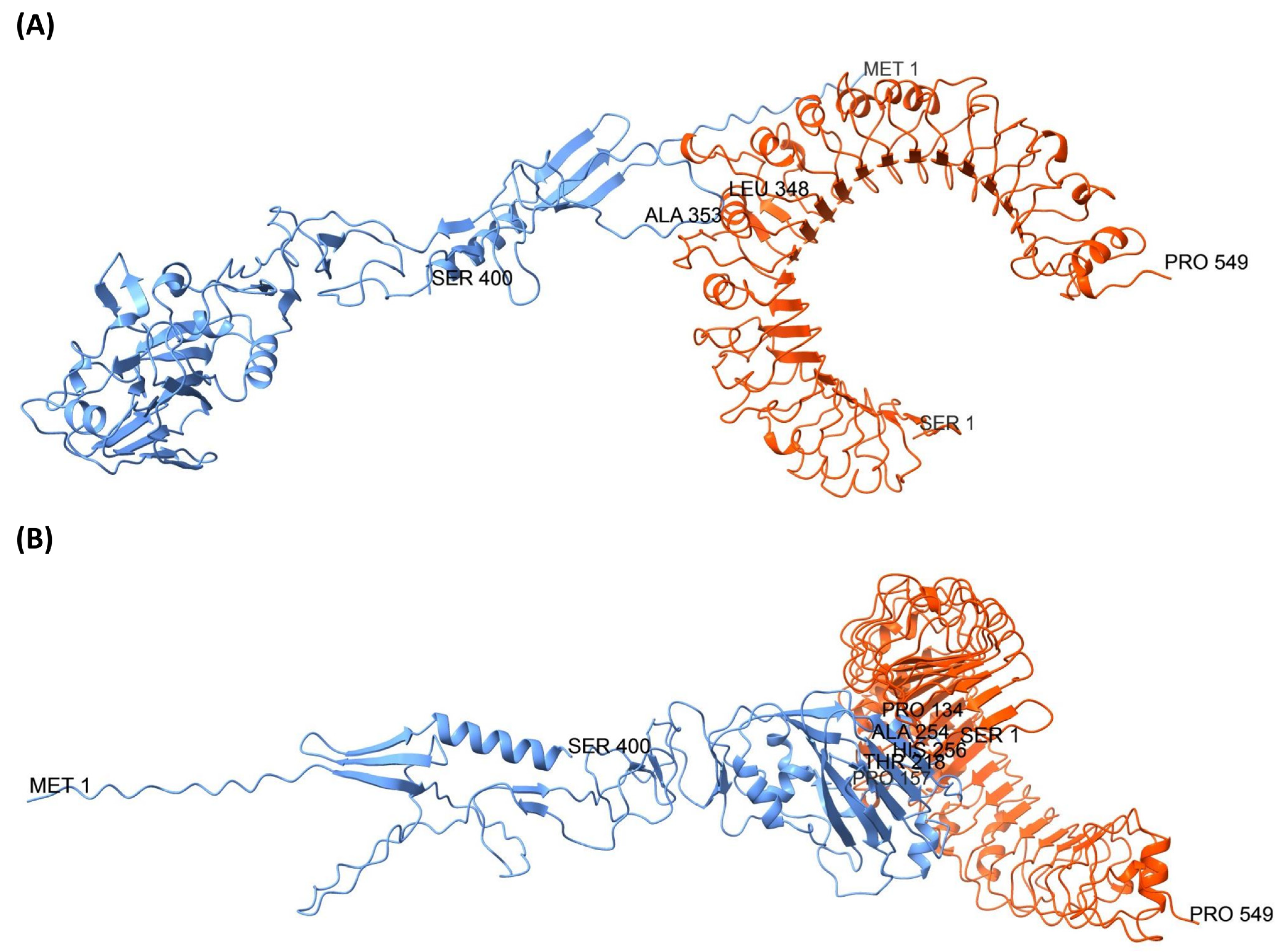 Biology 14 01327 g010 Biology 14 01327 g010