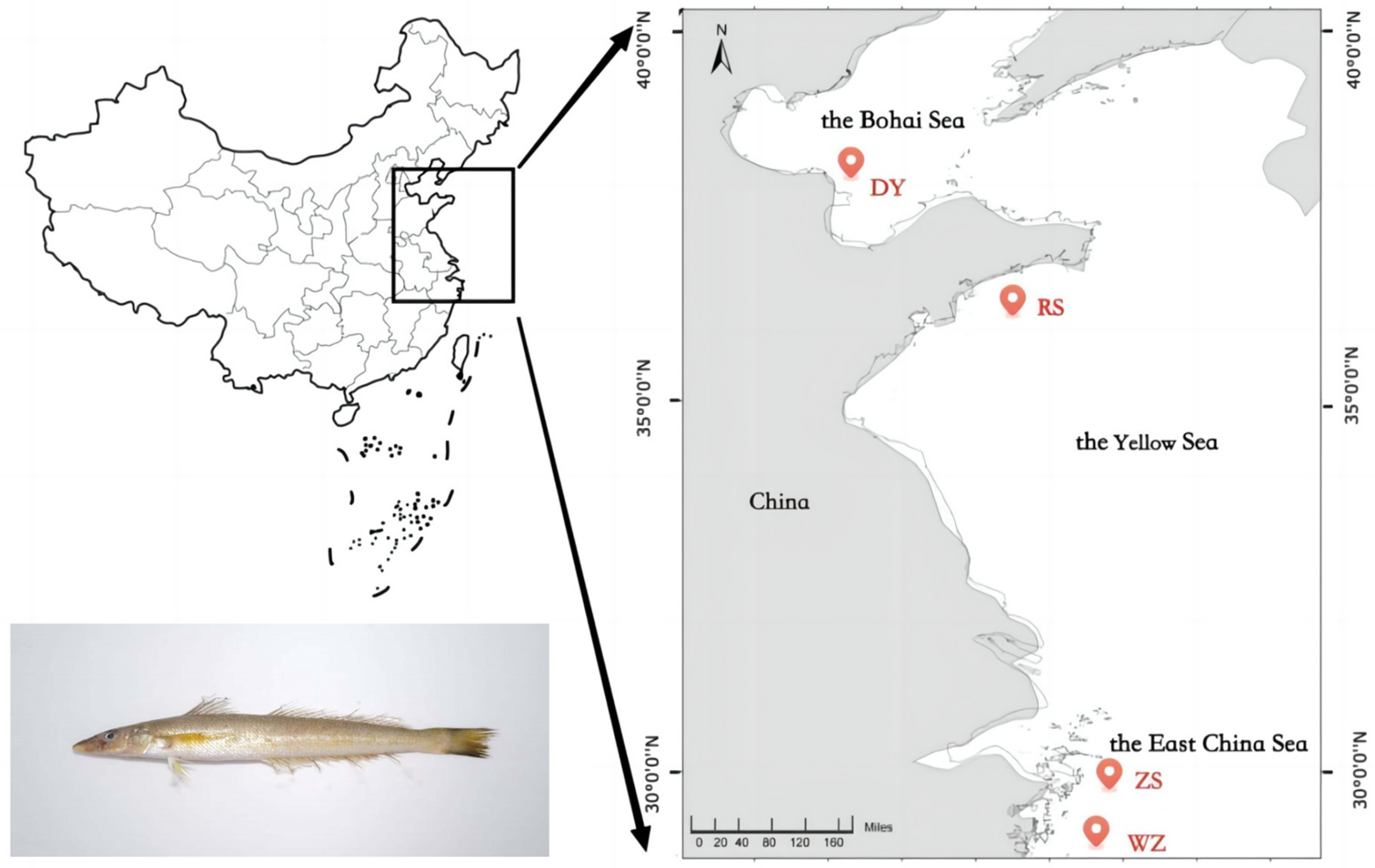 Biology 14 01329 g001