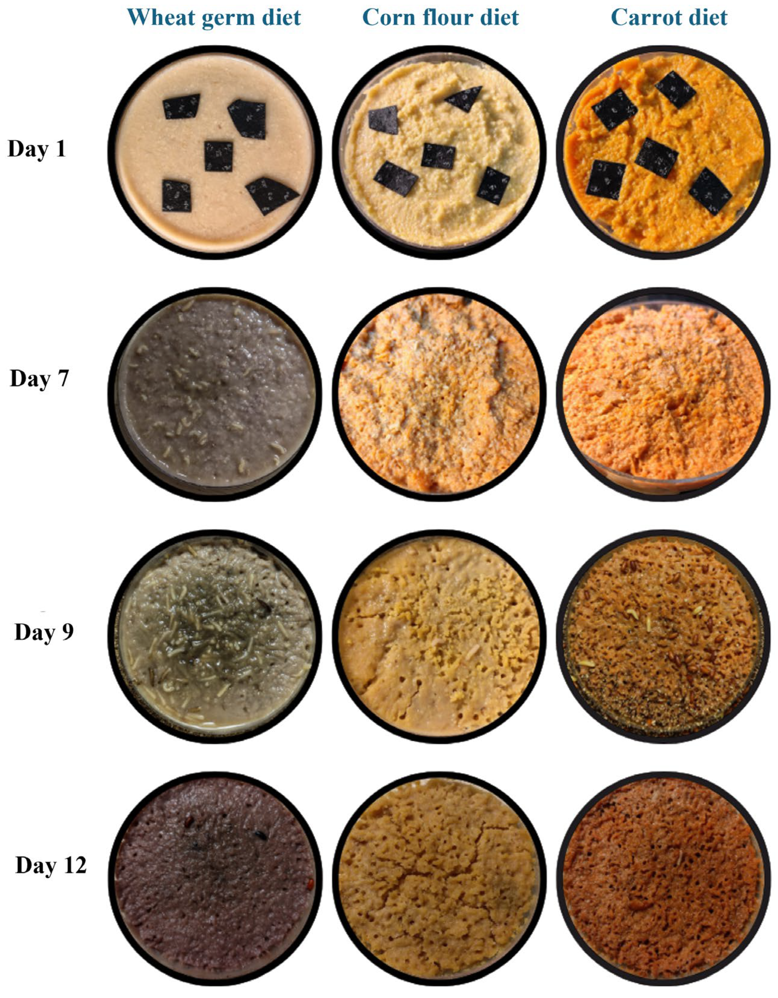 Biology 14 01332 g0a1 Biology 14 01332 g0a1