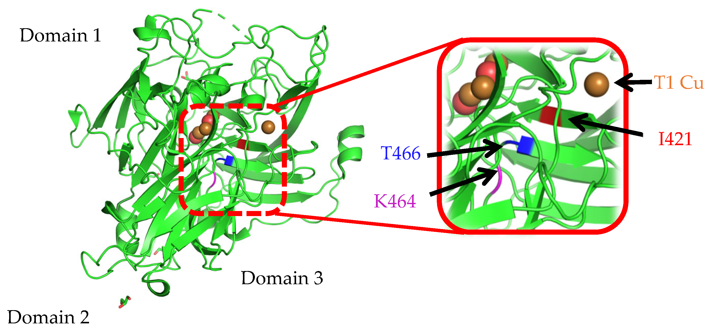Biology 14 01335 g004