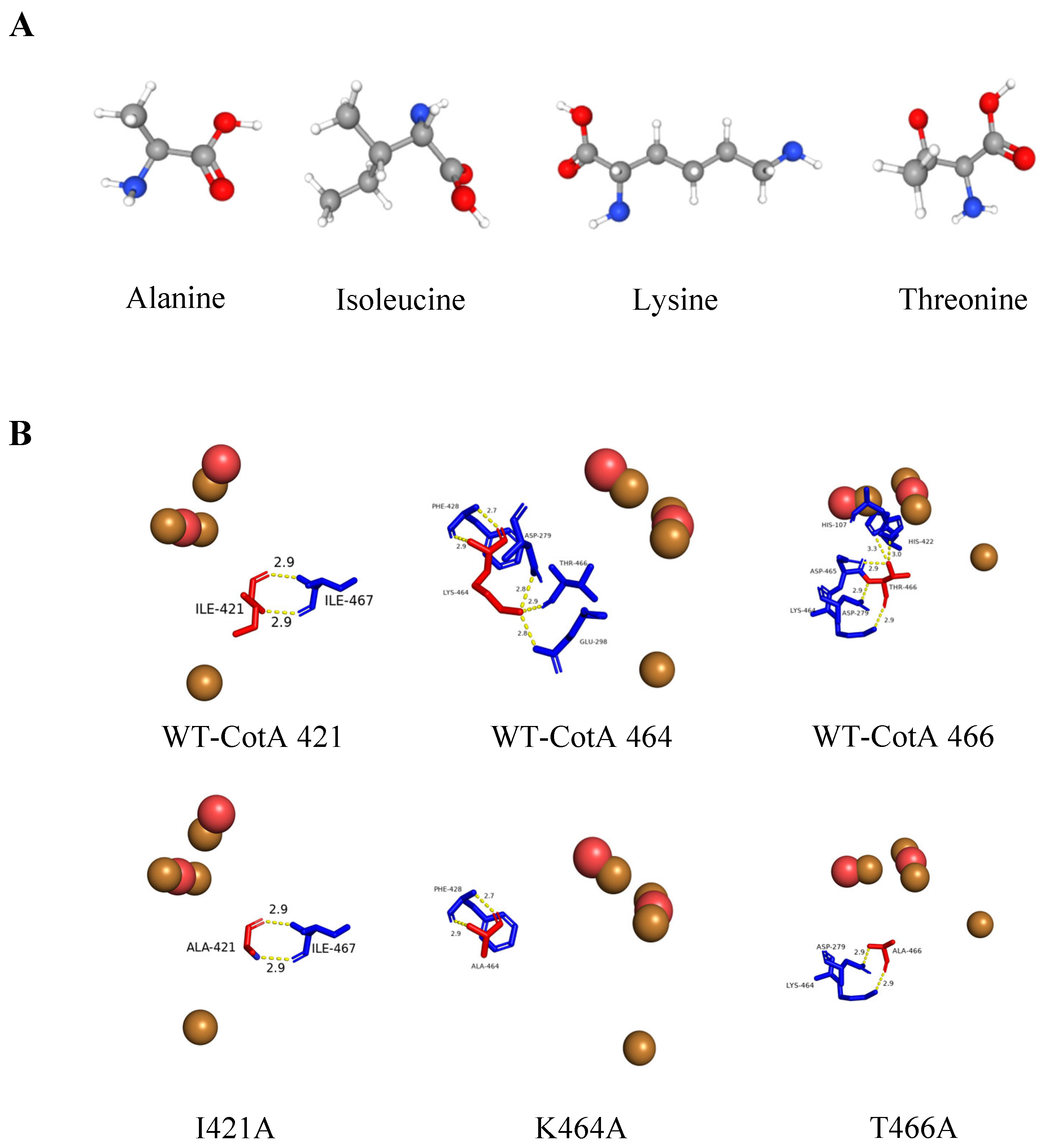 Biology 14 01335 g005