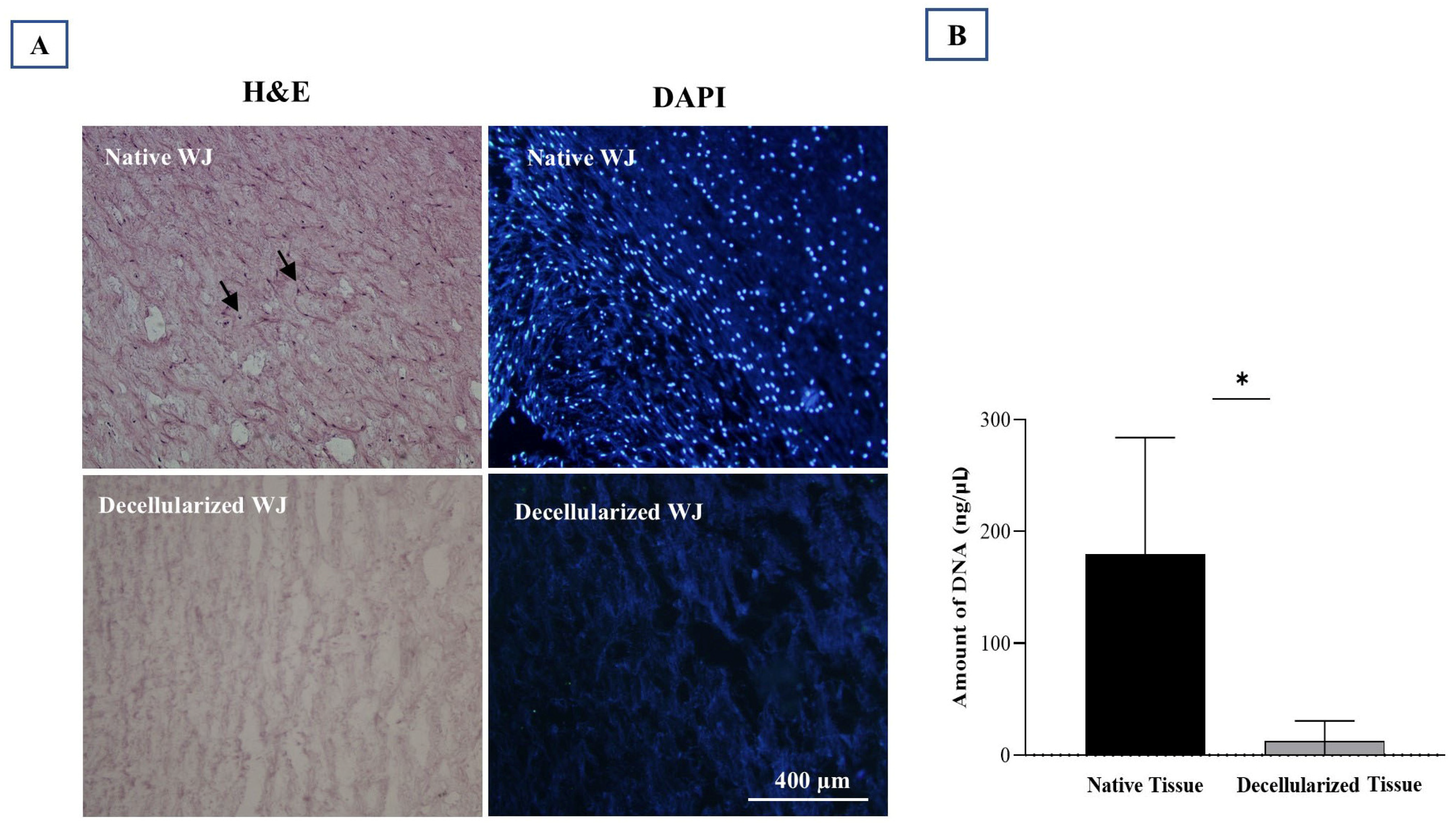 Biology 14 01340 g003 Biology 14 01340 g003