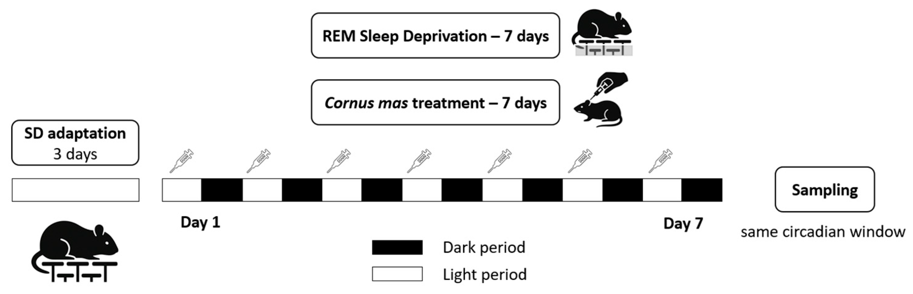 Biology 14 01341 g001
