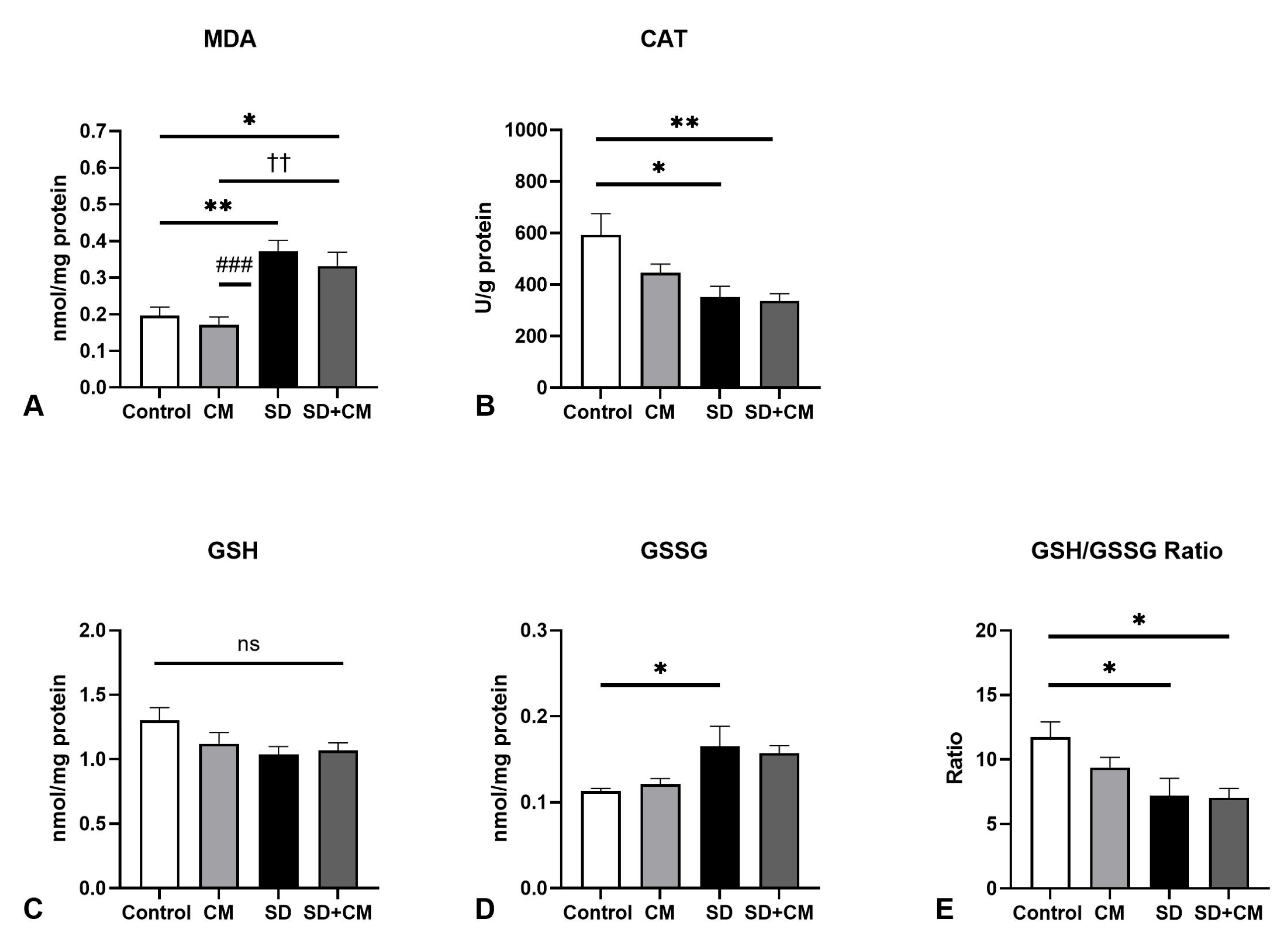 Biology 14 01341 g004