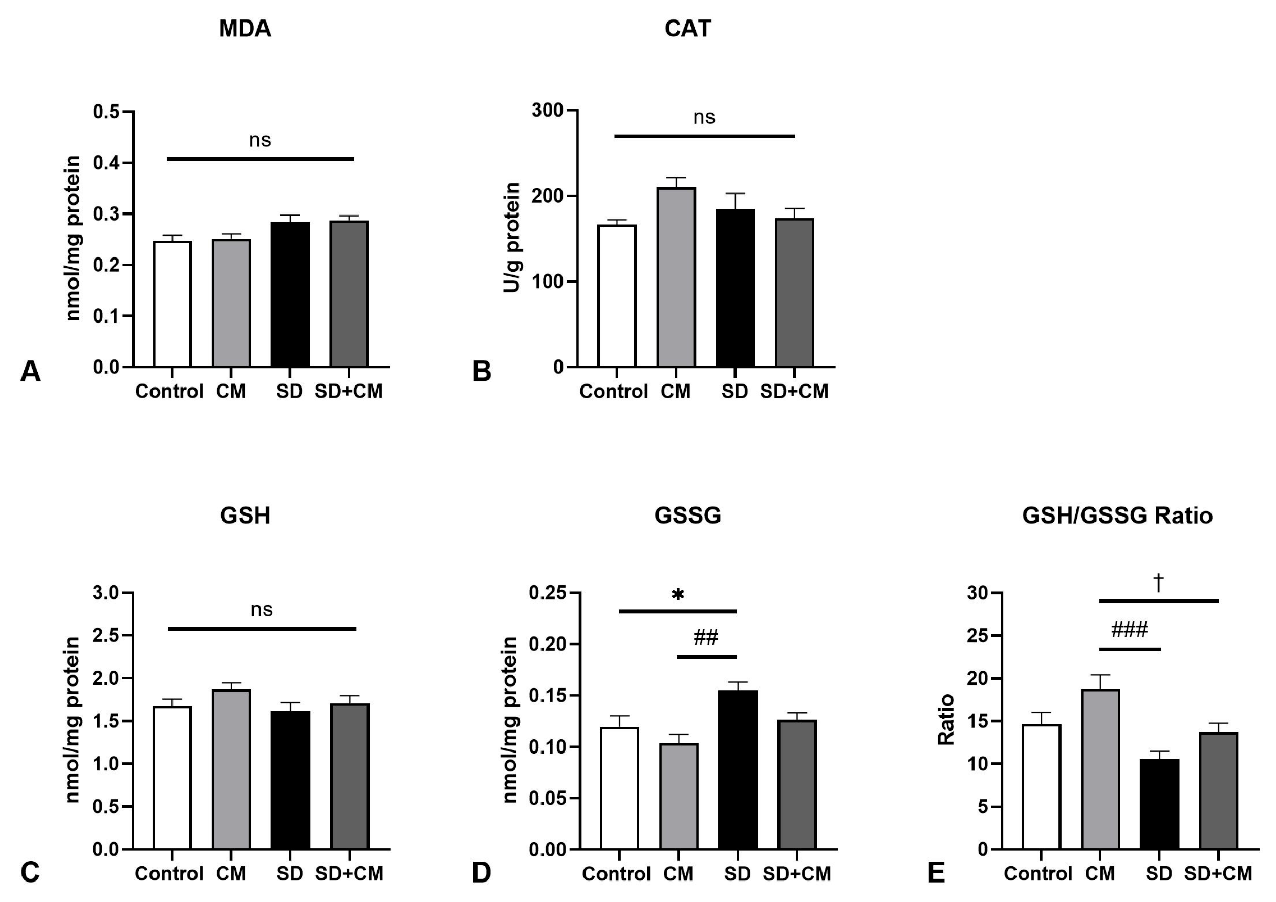 Biology 14 01341 g008